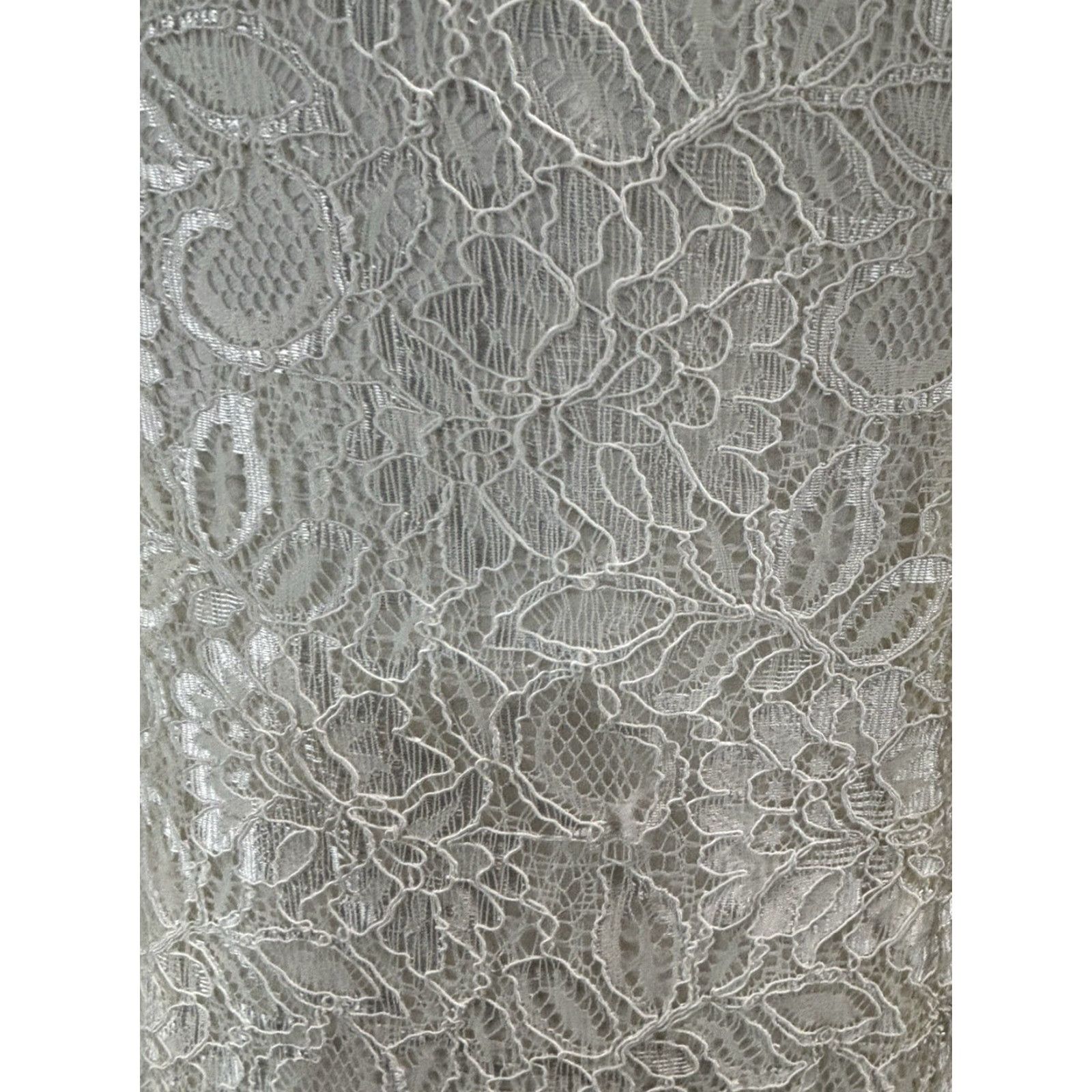 Alex Evenings Alex Evenings Dress Long Lace Overlay Maxi Sheath Ivory Square Neck Zip Back Wedding 6 Womens Size M / US 6-8 / IT 42-44 - 6 Thumbnail