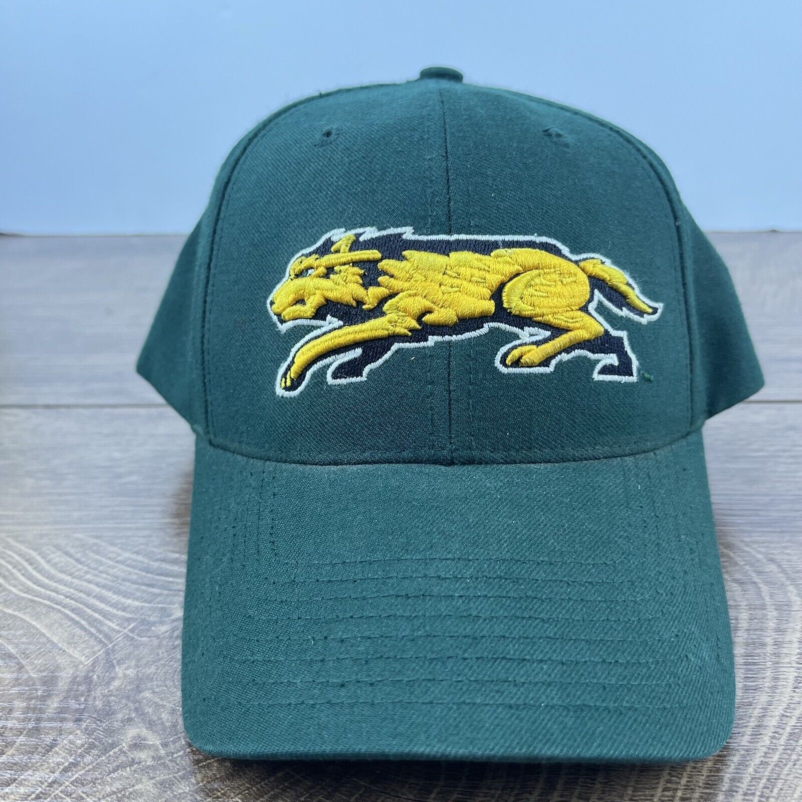 Other Wright State Raiders Green Hat NCAA Green Hat Adjustable Hat Size ONE SIZE - 1 Thumbnail