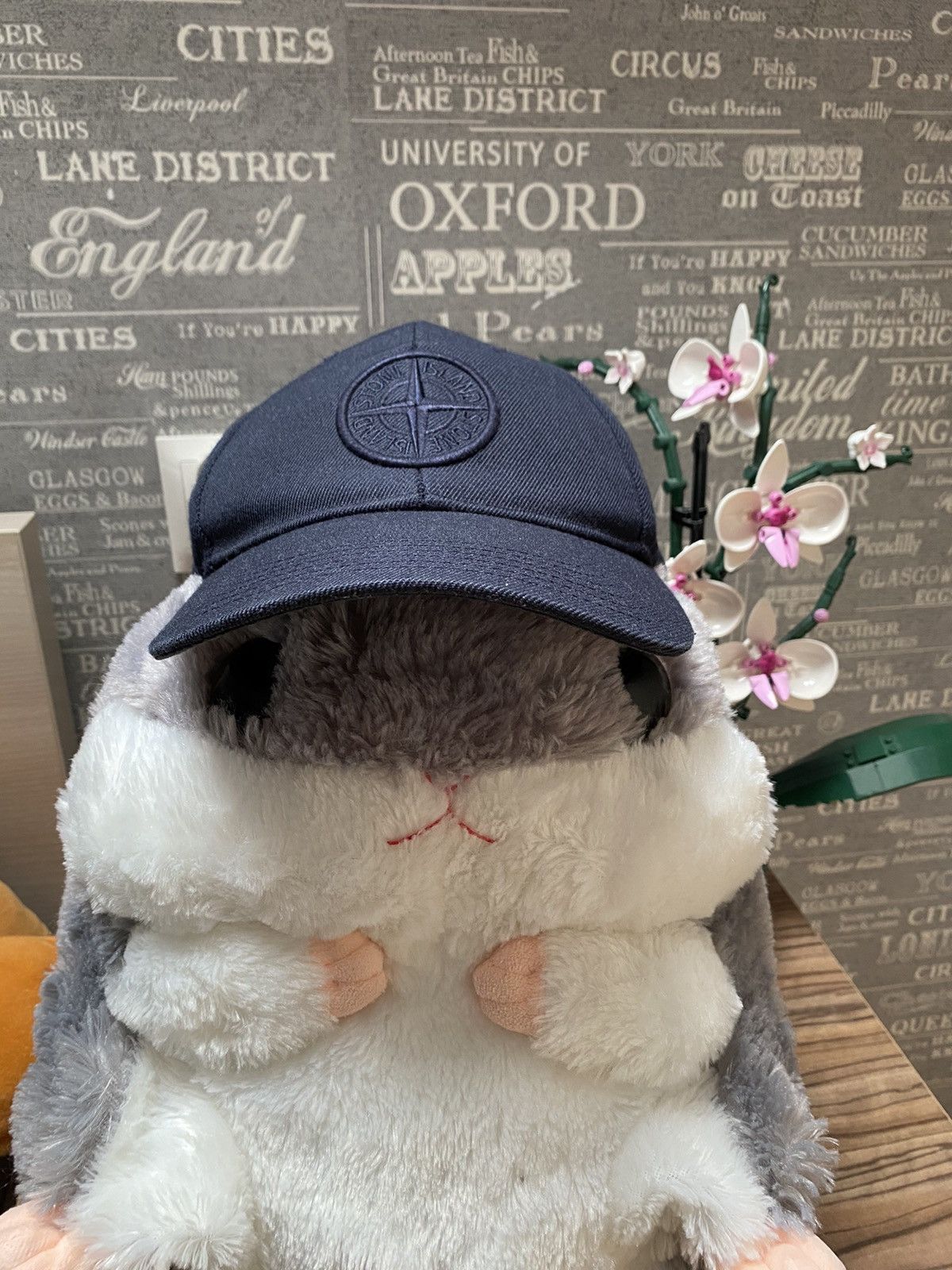 Stone island cap dark blue L Very good condition