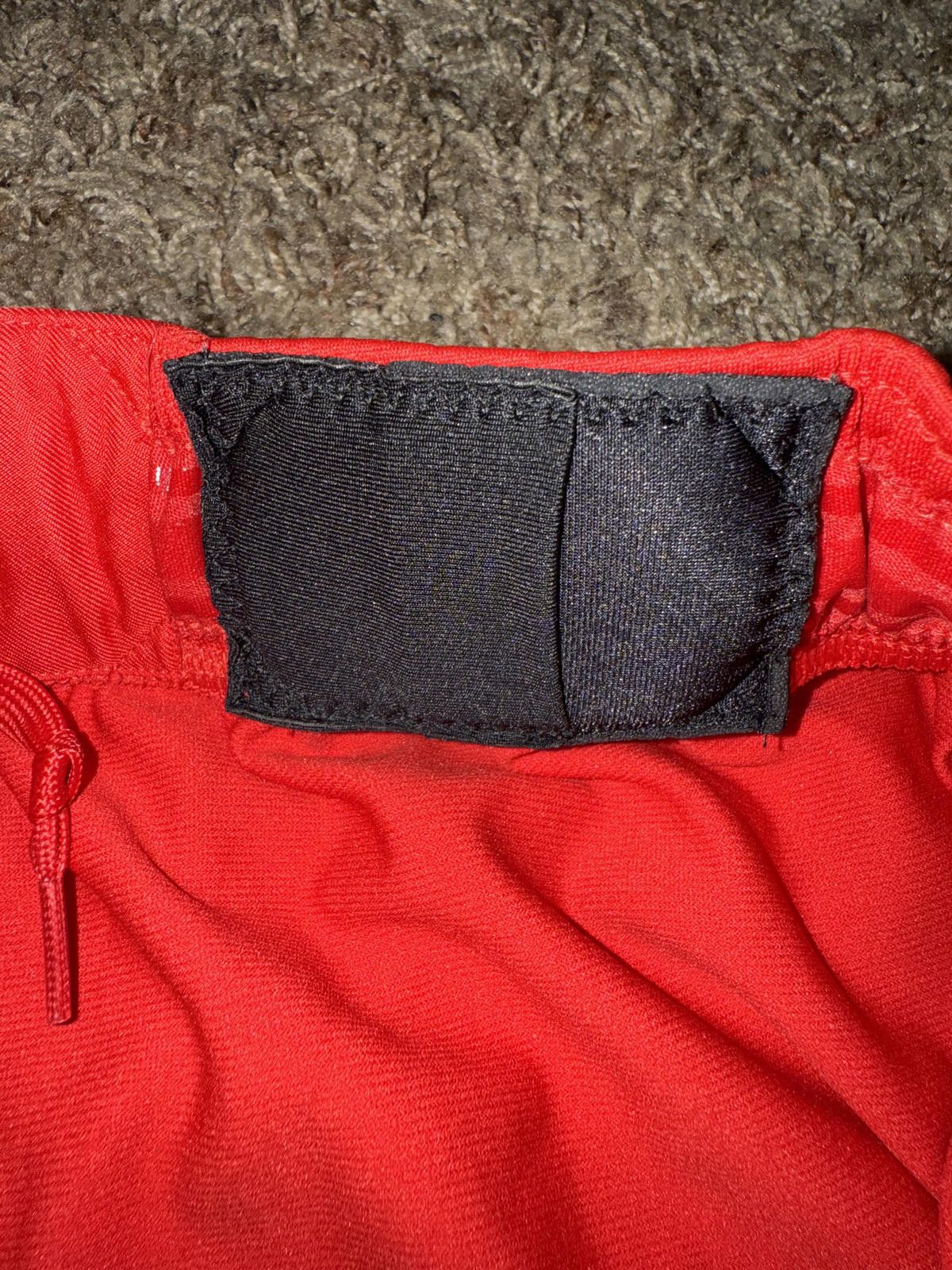 Nike Nike Men's NBA Toronto Raptor Dri-Fit ADV Team Issued Shorts Size US 34 / EU 50 - 11 Thumbnail