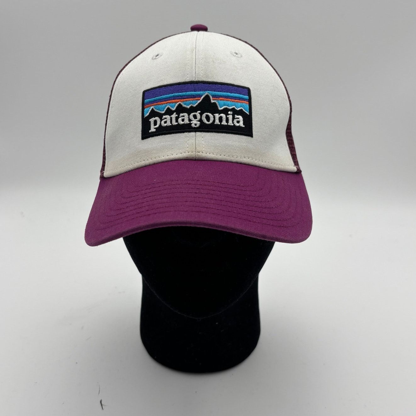 Patagonia Patagonia P-6 Logo LoPro Mesh Trucker Hat Snapback Gorpcore Size ONE SIZE - 1 Thumbnail