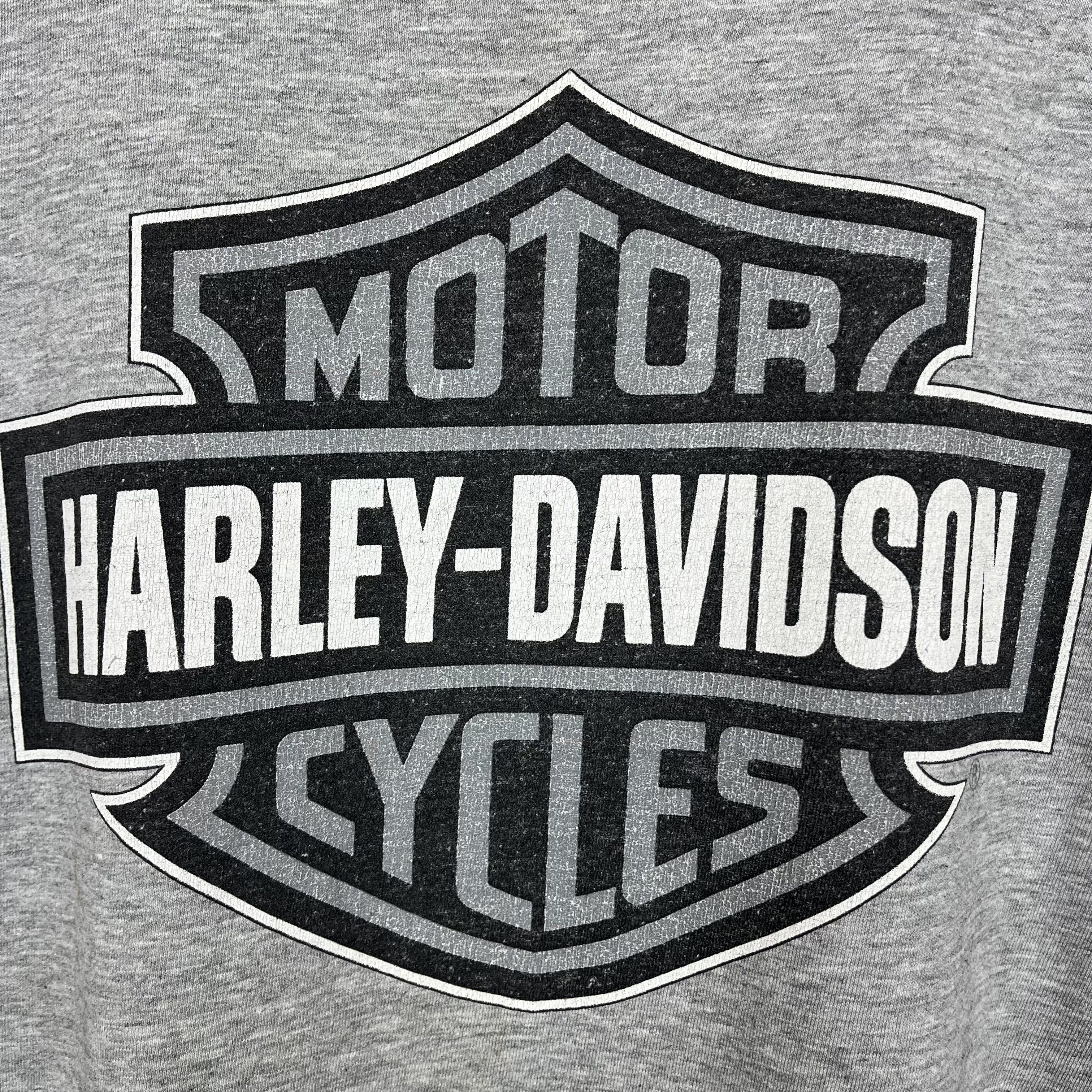 Harley Davidson Vintage Harley Davidson Florida Rare T Shirt 1997 Size US XL / EU 56 / 4 - 23 Thumbnail