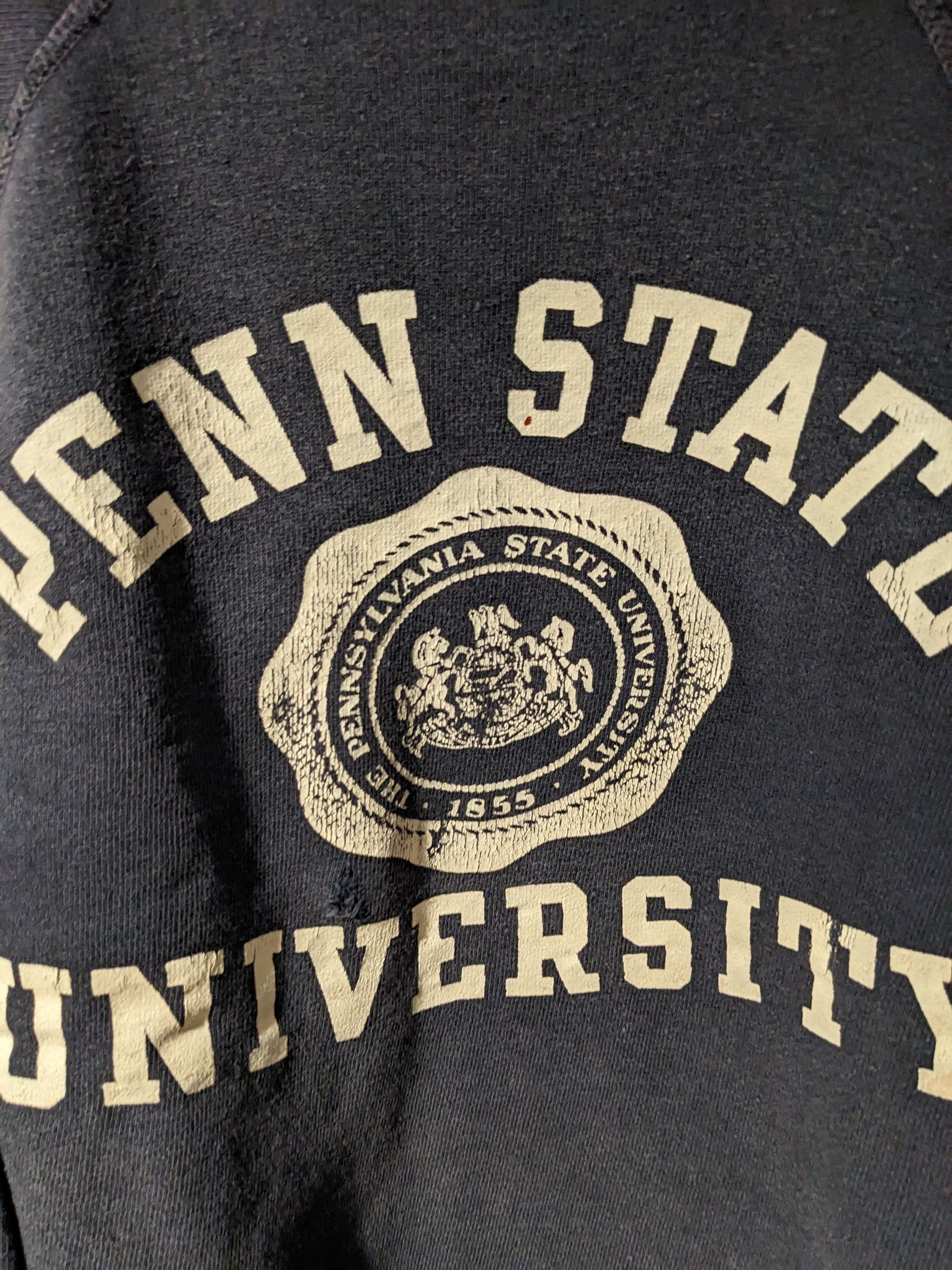 Champion × Vintage Vintage 60s Penn State University Champion Youth Sweatshirt Size US M / EU 48-50 / 2 - 2 Thumbnail