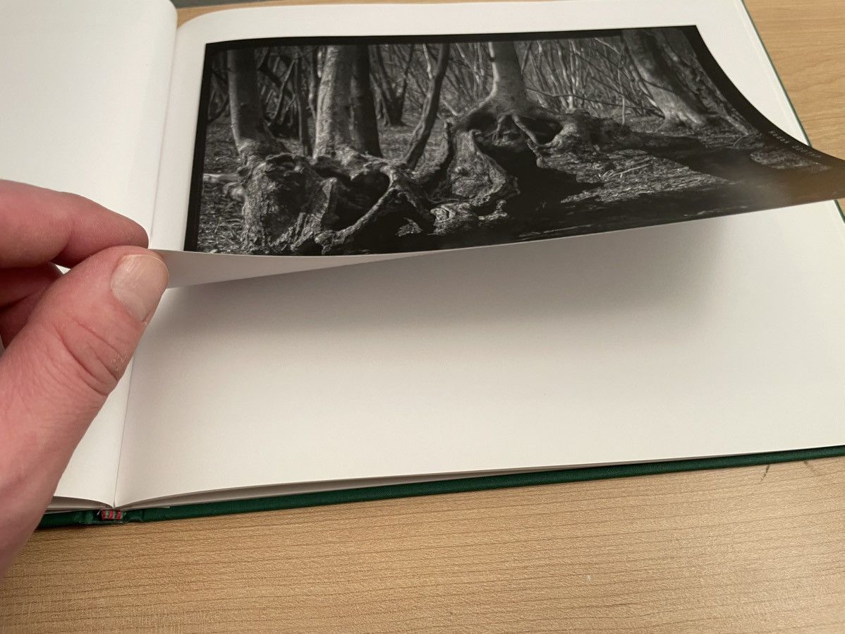 Paul Harnden Shoemakers Paul Harnden Book “ancient coppice stools” Size ONE SIZE - 9 Thumbnail
