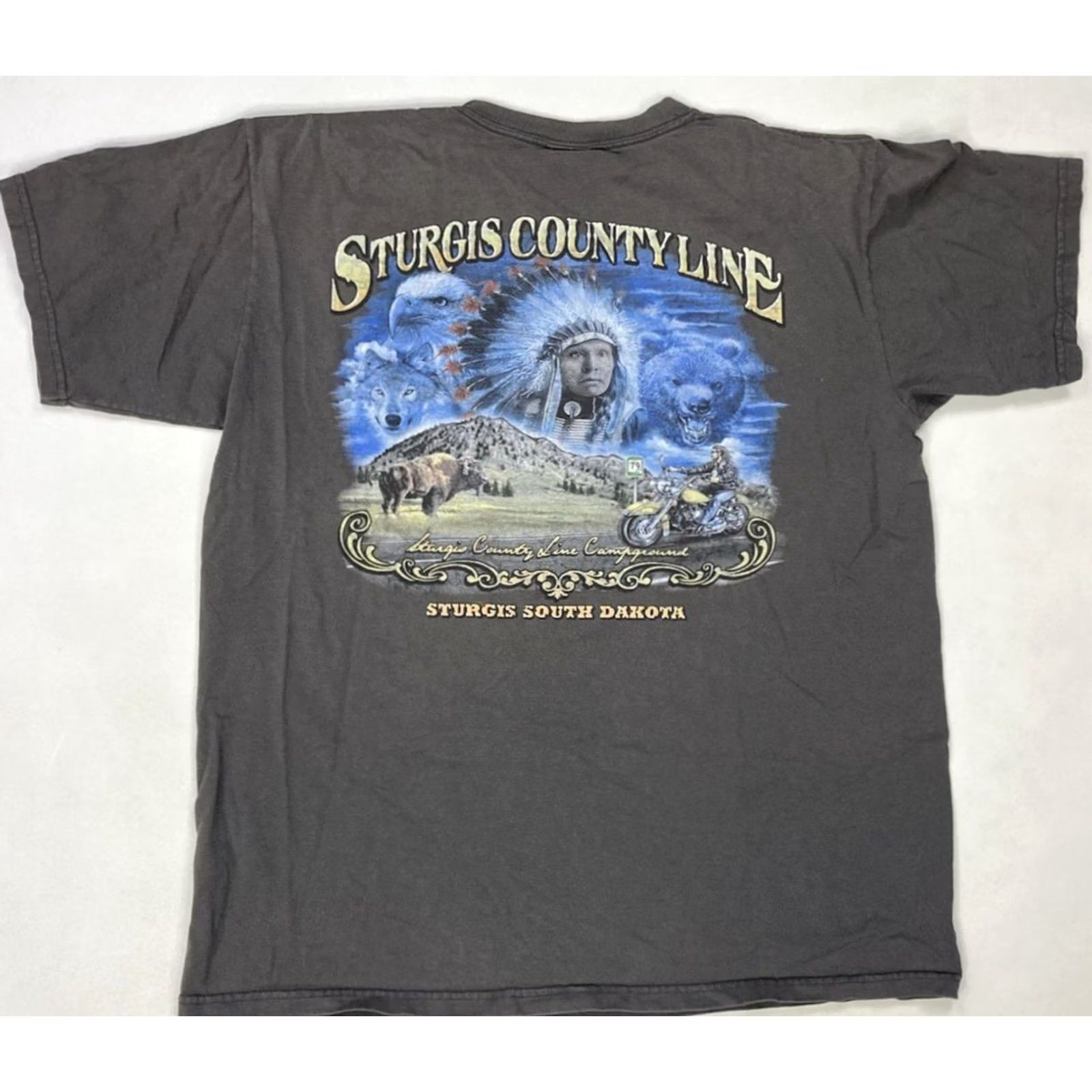 Anvil Sturgis County Line Graphic T-shirt Men Large Gray Motorcycle South Dakota Size US XL / EU 56 / 4 - 2 Thumbnail