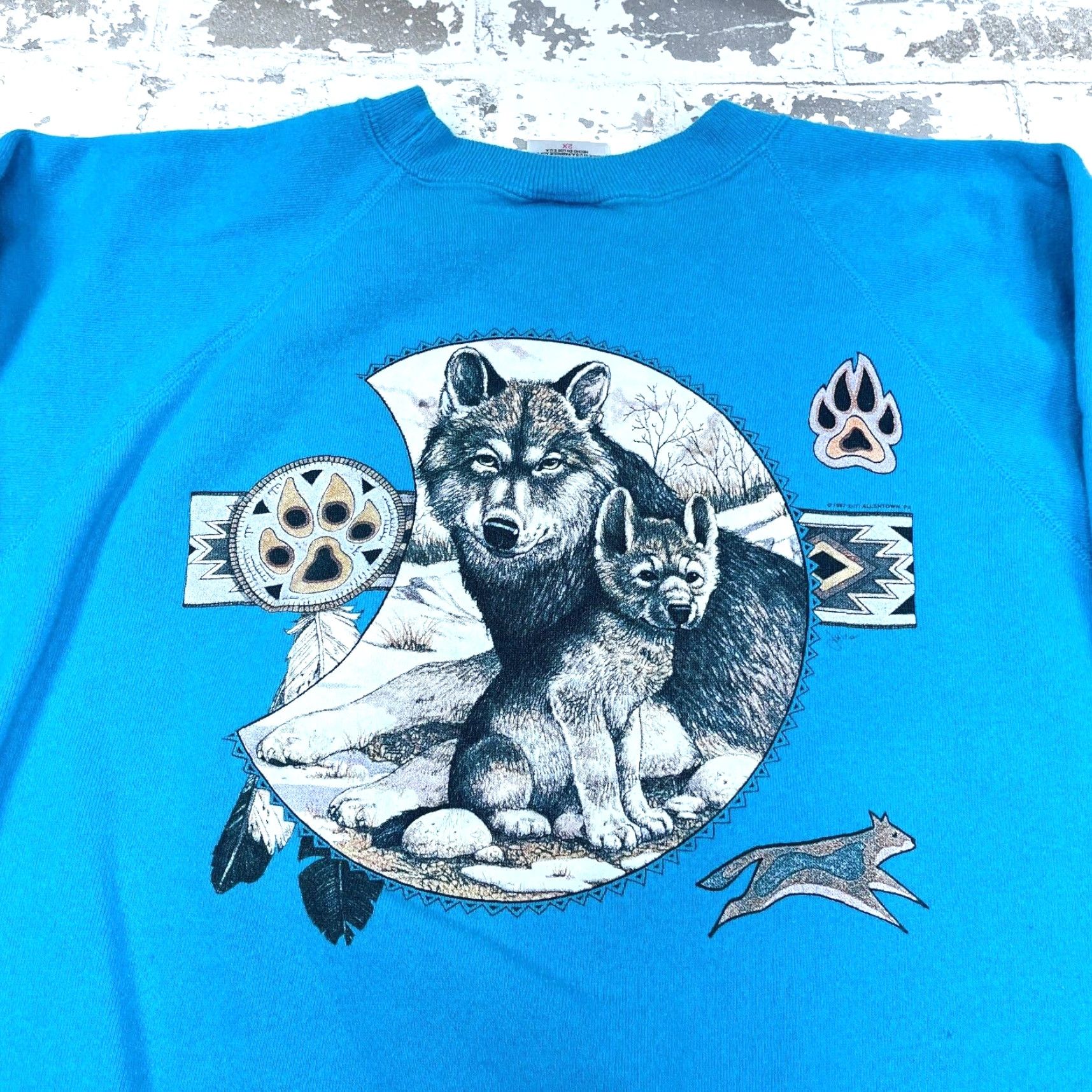 Hanes VINTAGE Hanes Sweatshirt Women 2X Blue Crew Neck Pullover Graphic Embroidered Logo Nature Animal 90s Wolf Cub All Seasons Casual Womens Size XXL / US 16-18 / IT 52-54 - 3 Thumbnail