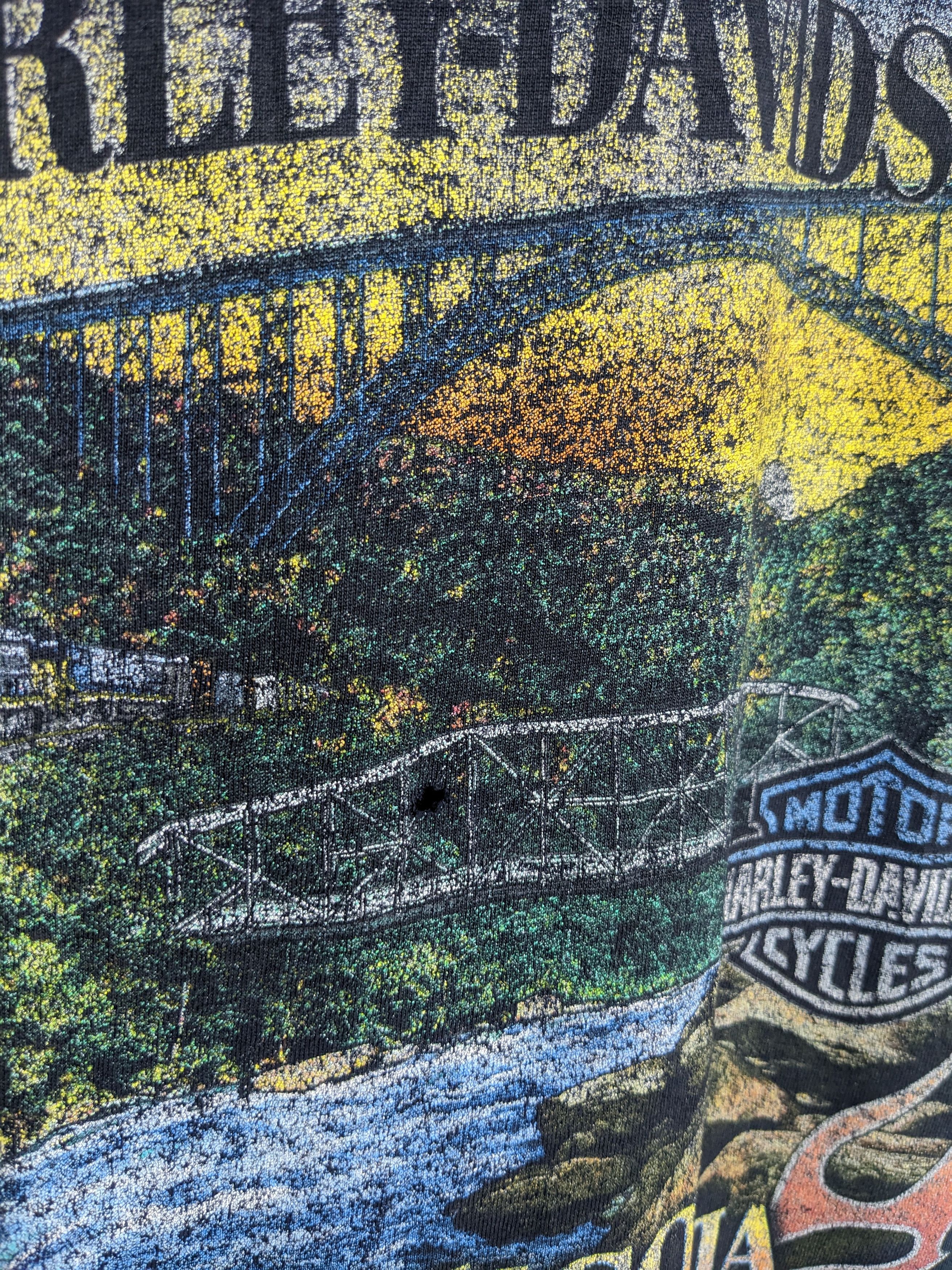 Harley Davidson × Vintage 2008 Harley Davidson - New River Gorge Size US XL / EU 56 / 4 - 4 Thumbnail