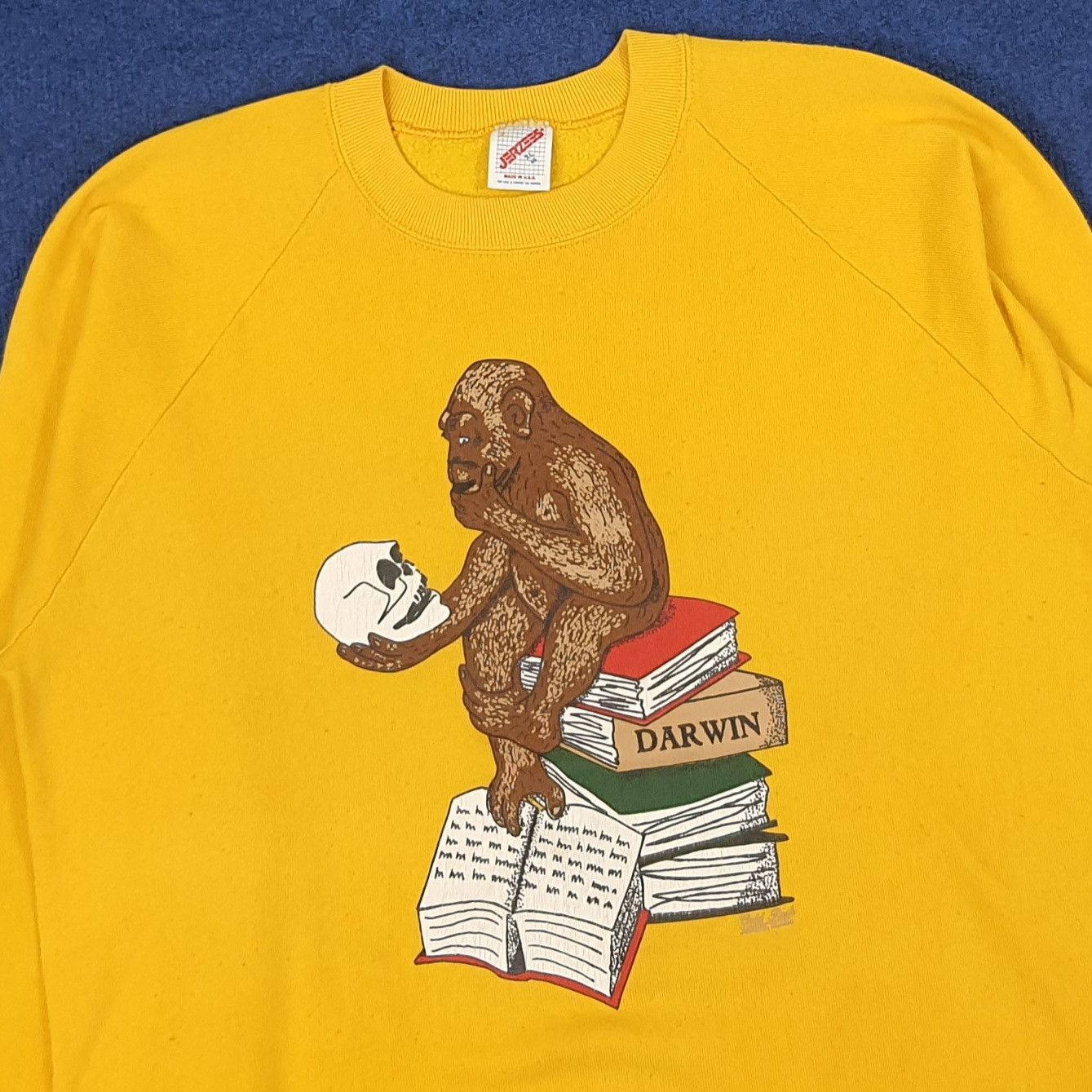 Other Vintage Darwin's Theory of Evolution Sweatshirt C241N20 Size US M / EU 48-50 / 2 - 2 Thumbnail