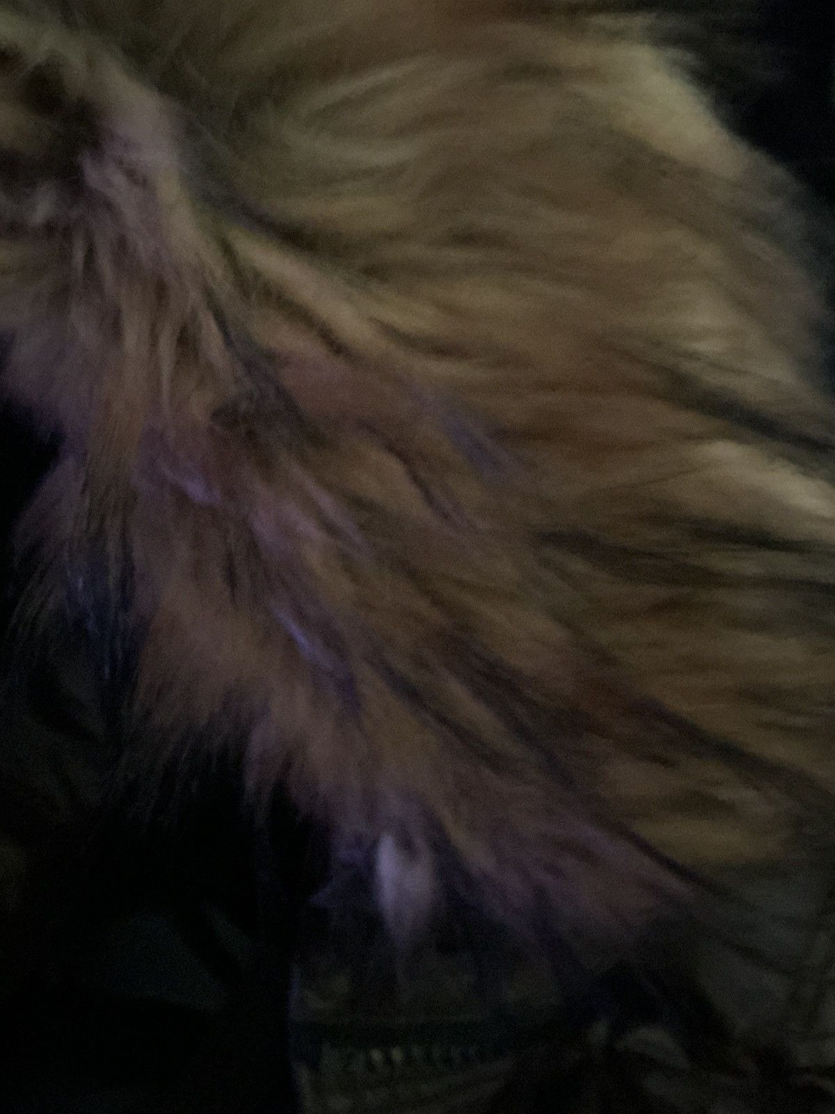 Other S13 Brown Puffer Jacket with Fur Hood Women's Size Small Size XS / US 0-2 / IT 36-38 - 6 Thumbnail