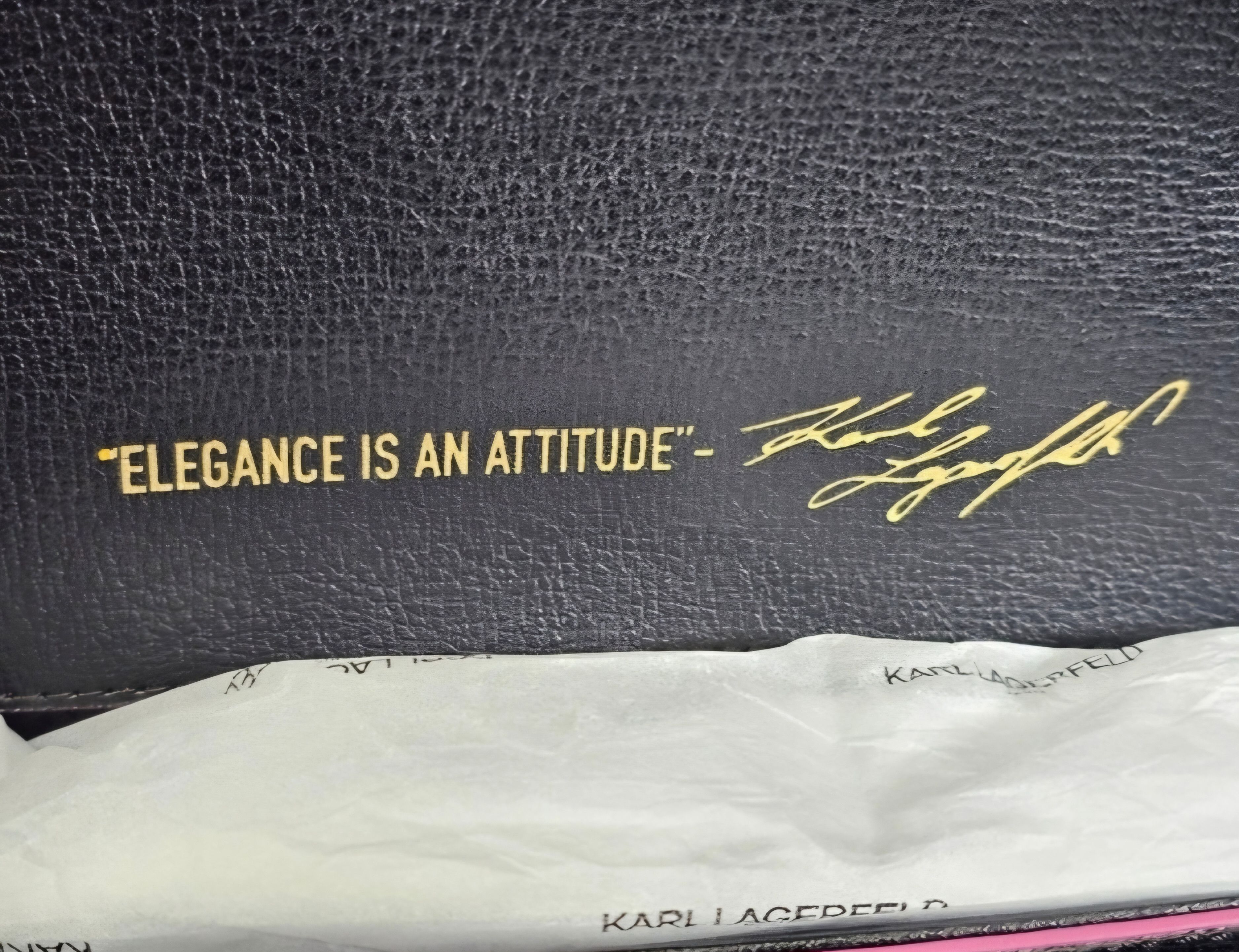 Karl Lagerfeld NWT Karl Lagerfeld‎ crossbody Size ONE SIZE - 4 Thumbnail
