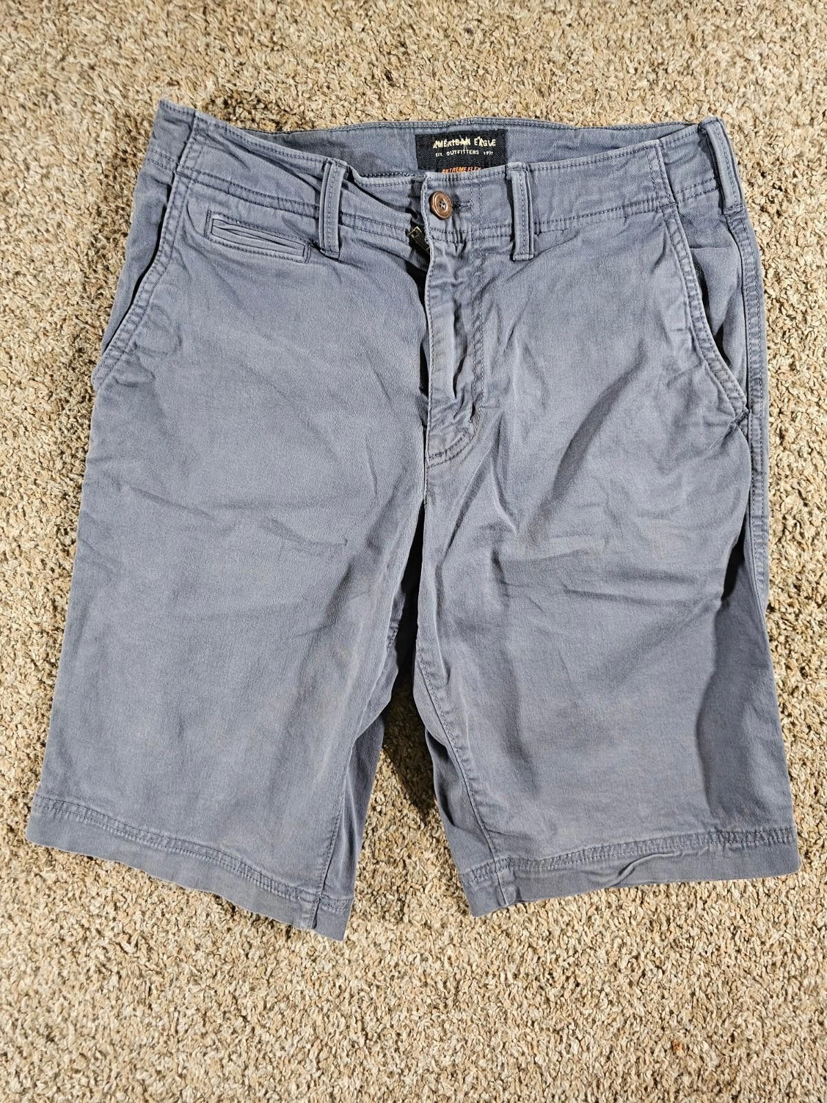 American Eagle Outfitters American Eagle Extreme Flex 29 Long Length Shorts Blue Gray Size US 29 - 1 Thumbnail