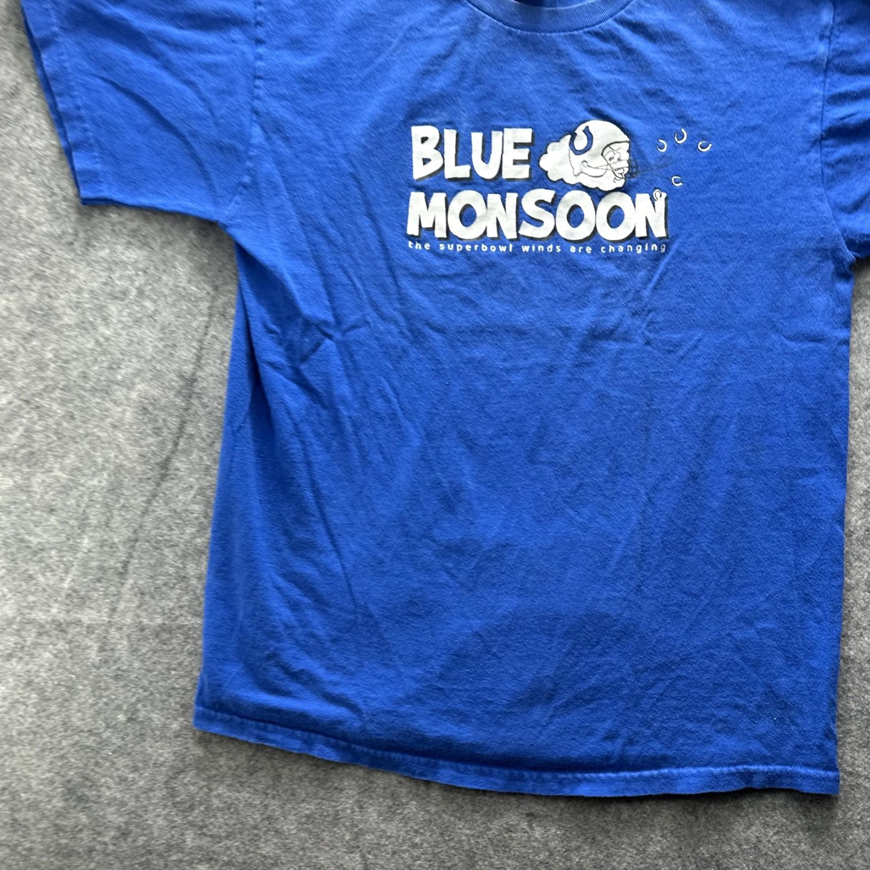 Fruit Of The Loom Fruit of the Loom Shirt Mens Medium Blue Football Graphic Tee Monsoon Blue Monsoon Football Owl Graphic Crew Neck Short Sleeve Heavyweight Cotton Size US M / EU 48-50 / 2 - 4 Thumbnail