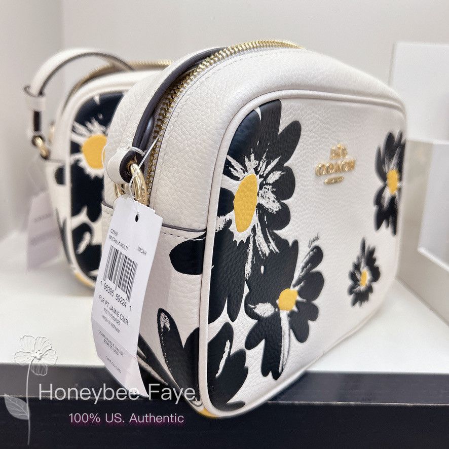 Coach Mini Camera Bag hot With Diary Embroidery