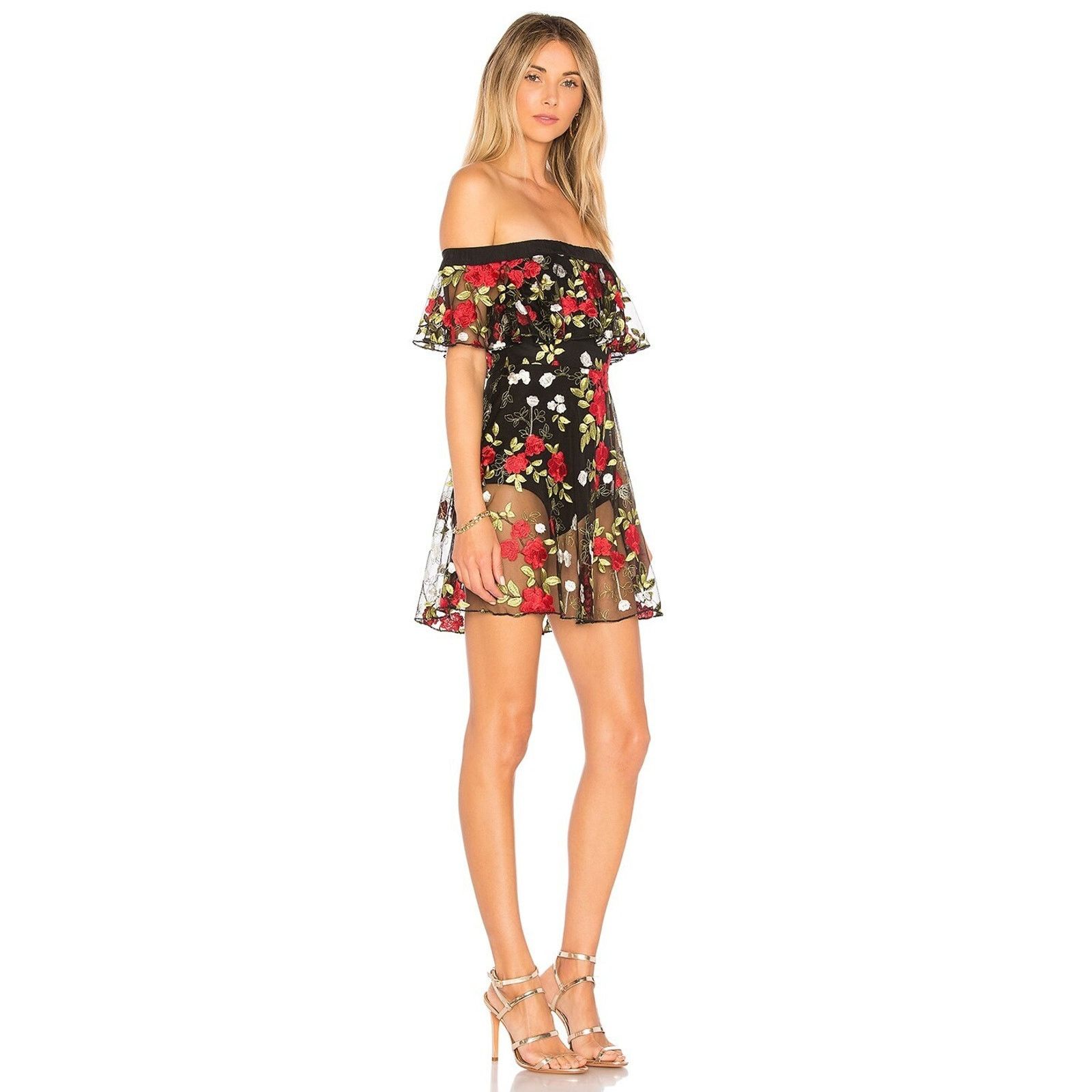 Other Lovers + Friends Erica Sheer Embroidered A Line In Halcyon Size L / US 10 / IT 46 - 1 Thumbnail