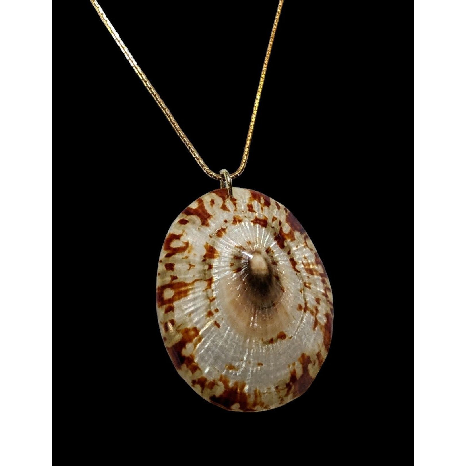 Other Limpet Shell Pendant Necklace Size ONE SIZE - 8 Thumbnail