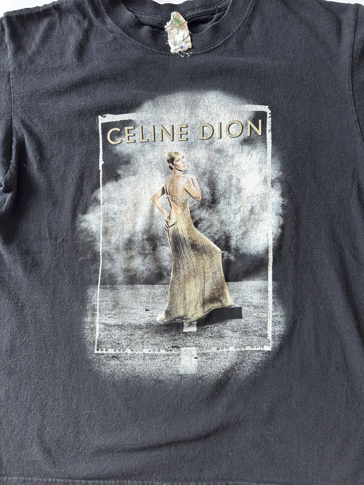 Anvil 2015 Celine Dion Back on the Road" Tour Band Tee Size M / US 6-8 / IT 42-44 - 4 Thumbnail