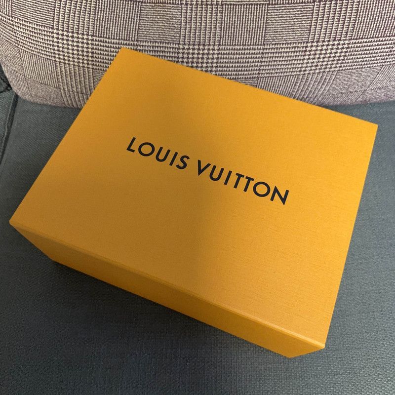 Louis Vuitton Louis Vuitton Trainer Skate Shoes in Black -2508 Size US 7.5 / EU 40-41 - 6 Thumbnail