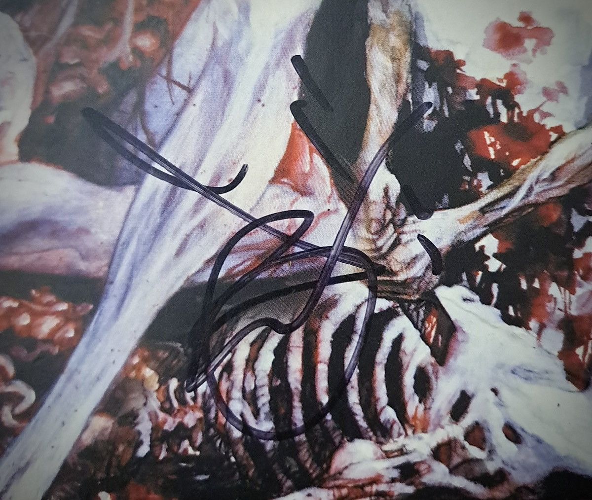 Band Tees × Vintage CANNIBAL CORPSE x Empty CD Box x Signed by Chris Barnes 2002 Size ONE SIZE - 3 Thumbnail