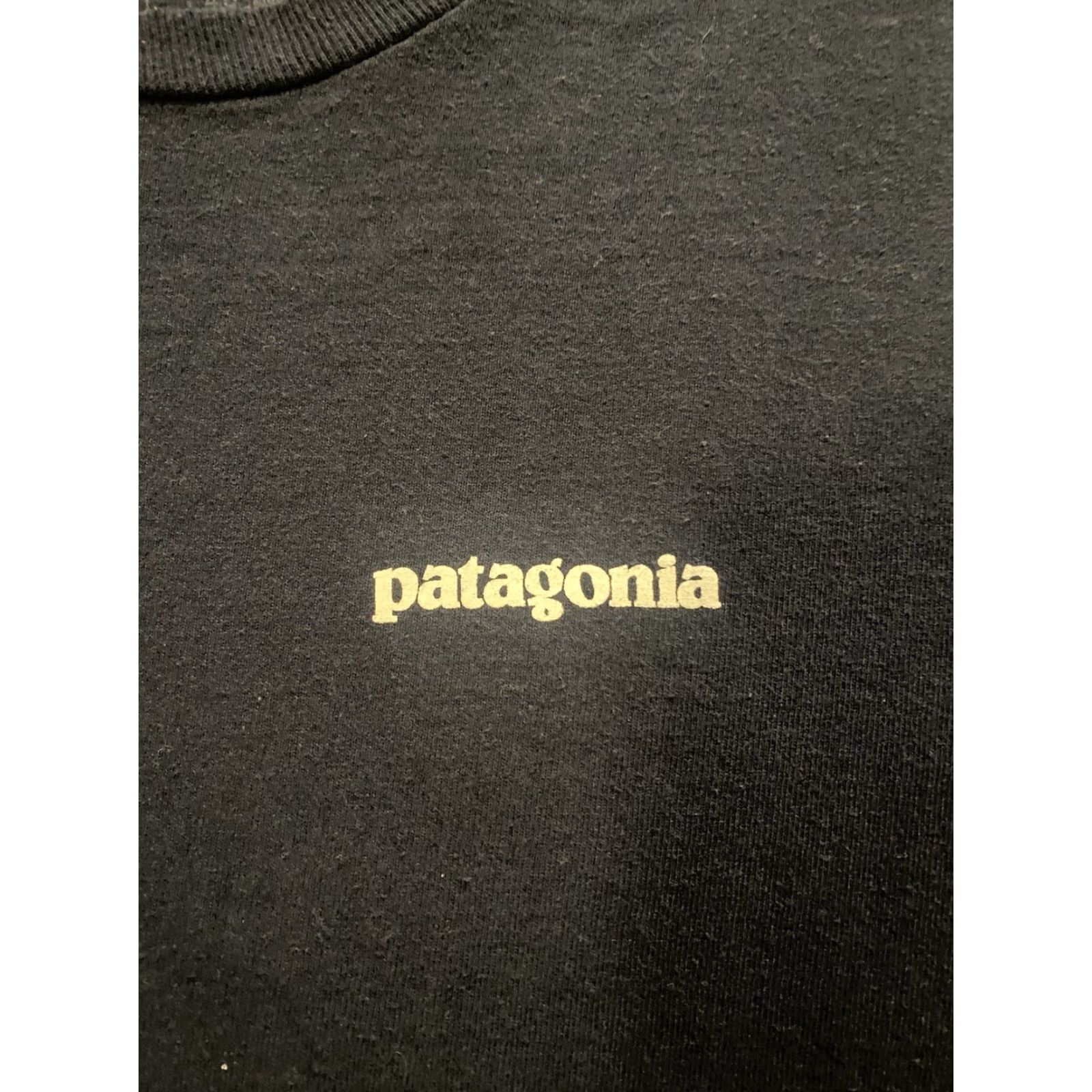 Patagonia Patagonia Shirt Mens Medium Blue Responsibili-tee Regular Fit Crew Neck T Shirt Size US M / EU 48-50 / 2 - 7 Thumbnail