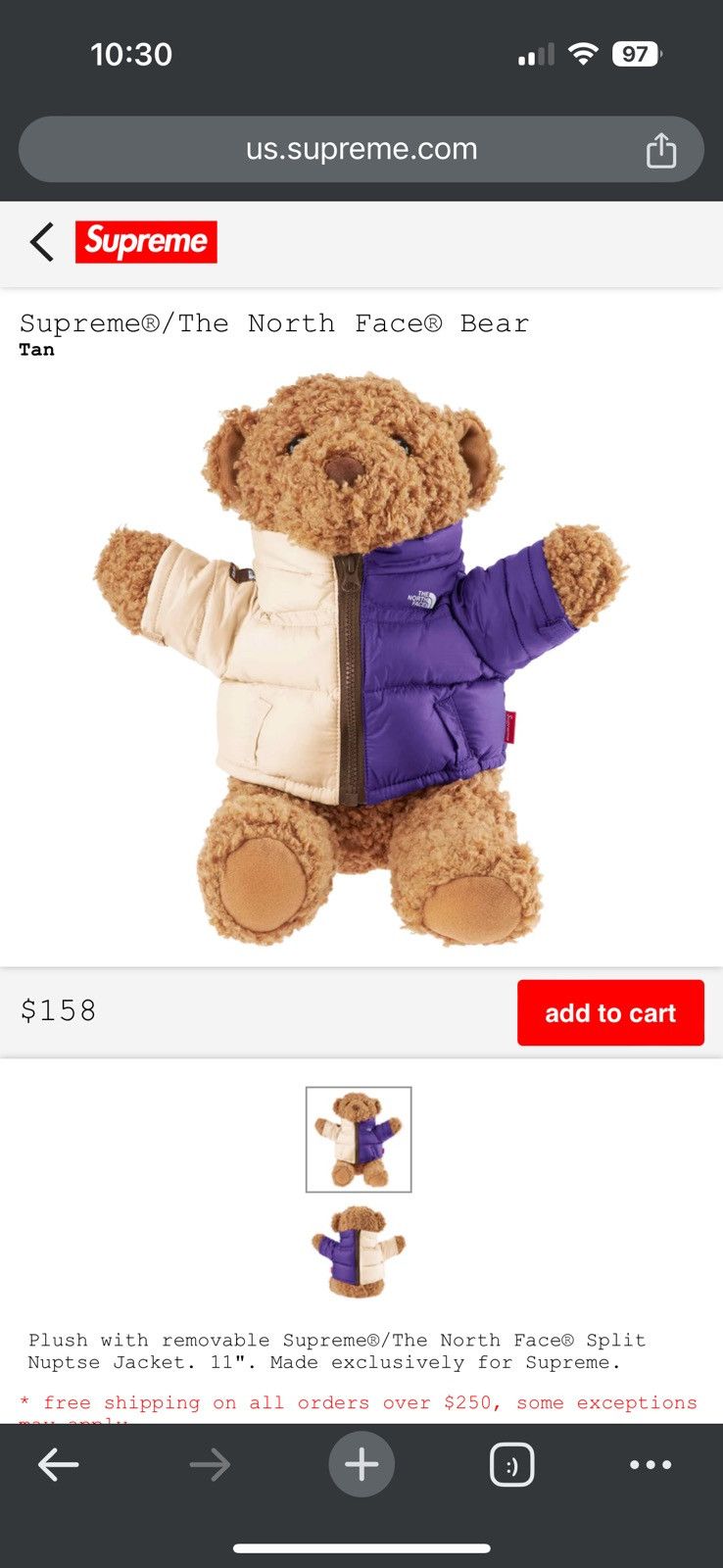 Supreme × The North Face Supreme x North Face Stuffed Bear Size ONE SIZE - 6 Thumbnail