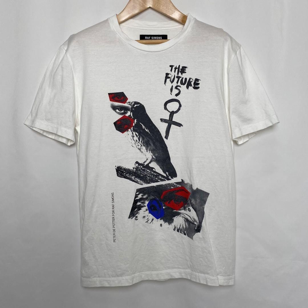 Raf Simons Peter De Potter | Grailed