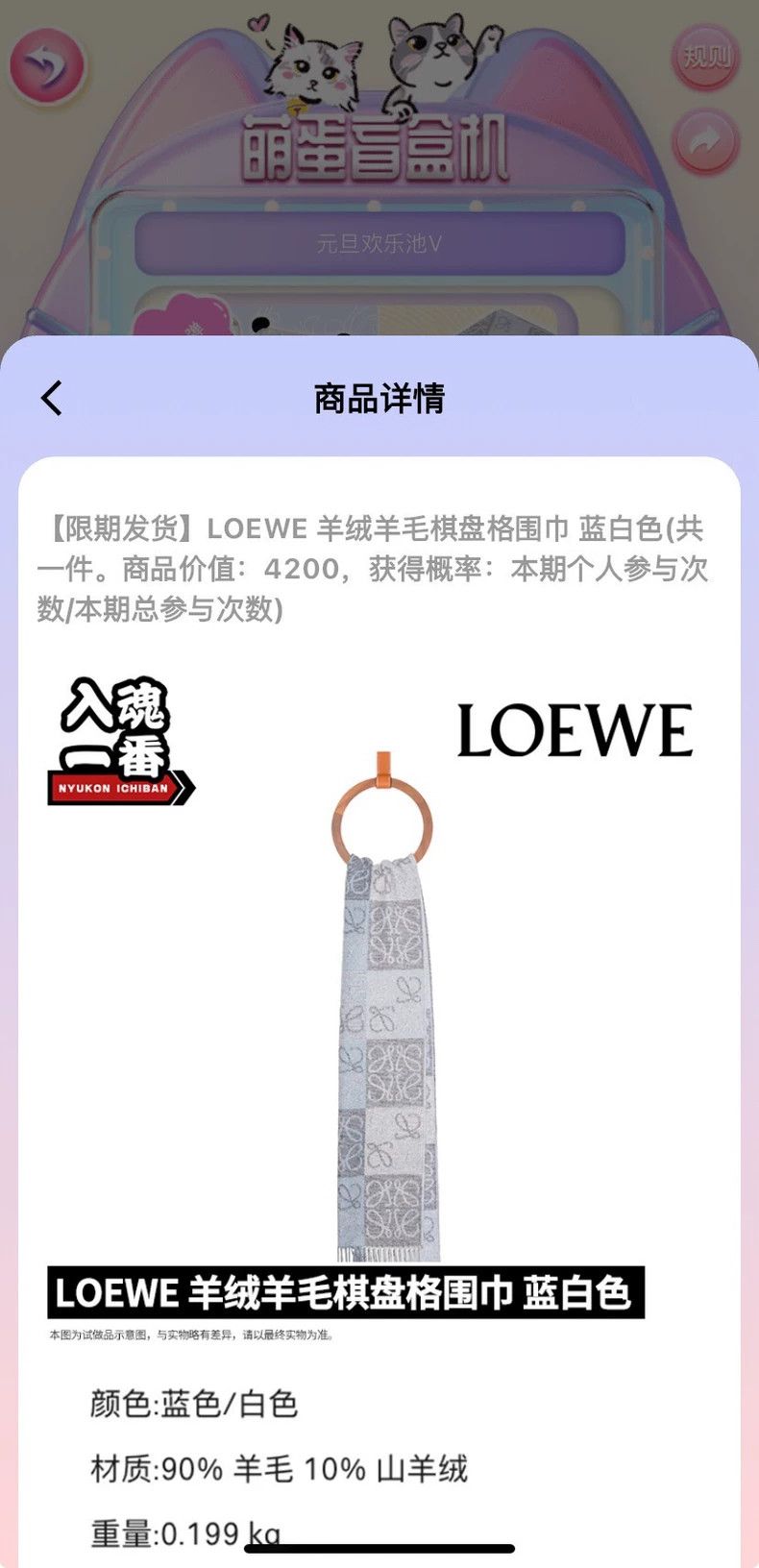 Loewe LOEWE Scarves Size ONE SIZE - 5 Thumbnail