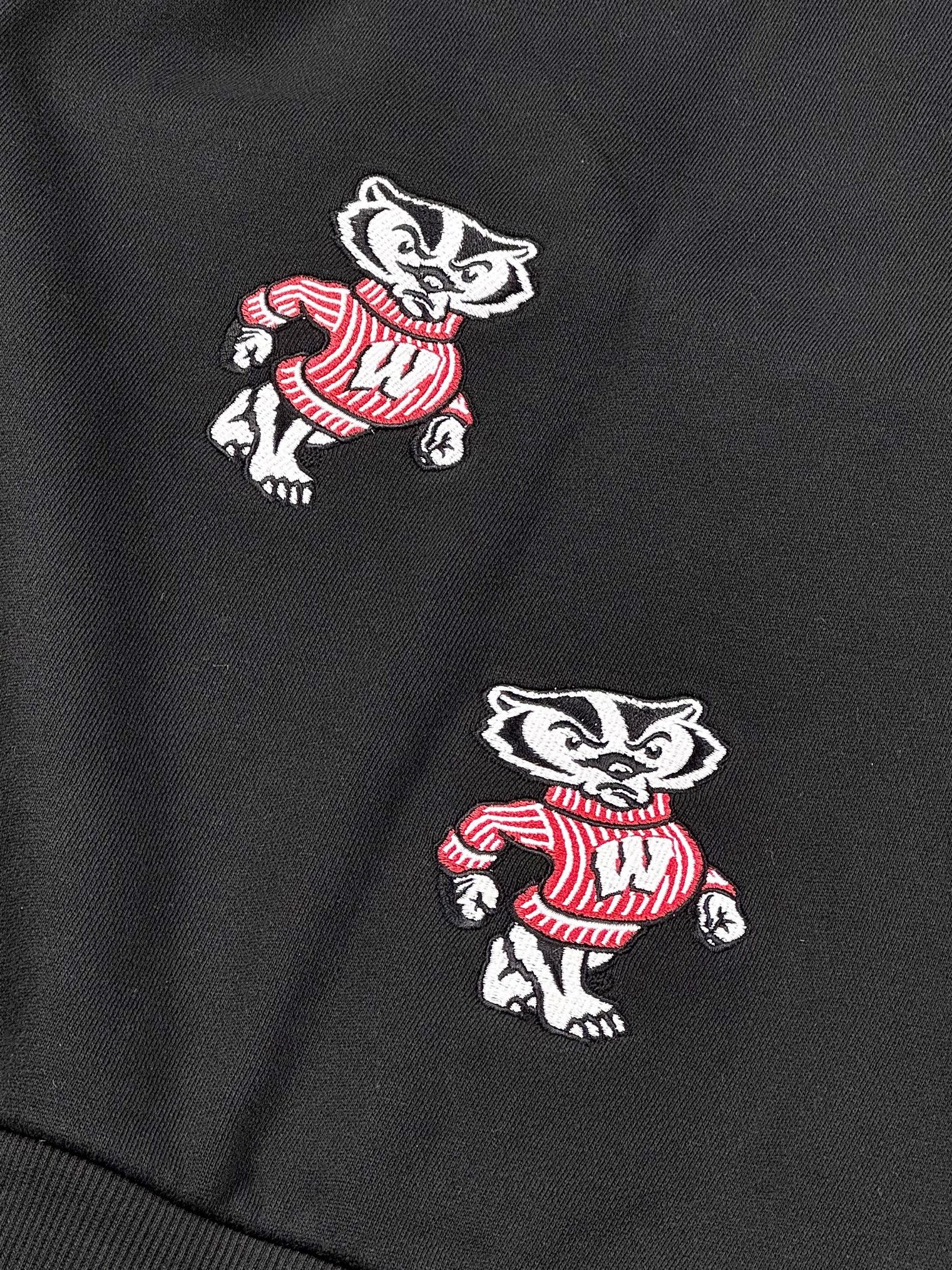 Mitchell & Ness × Travis Scott UNWORN* Cactus Jack x M&N University Of Wisconsin Hoodie Size US XXL / EU 58 / 5 - 7 Thumbnail