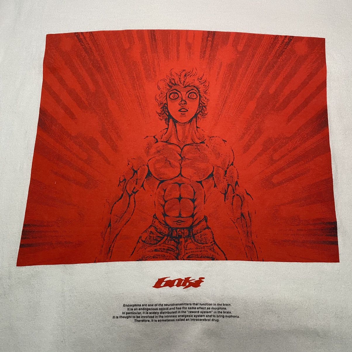 Anime BAKI HANMA BOXING ANIME MANGA T SHIRT Size US XL / EU 56 / 4 - 6 Thumbnail