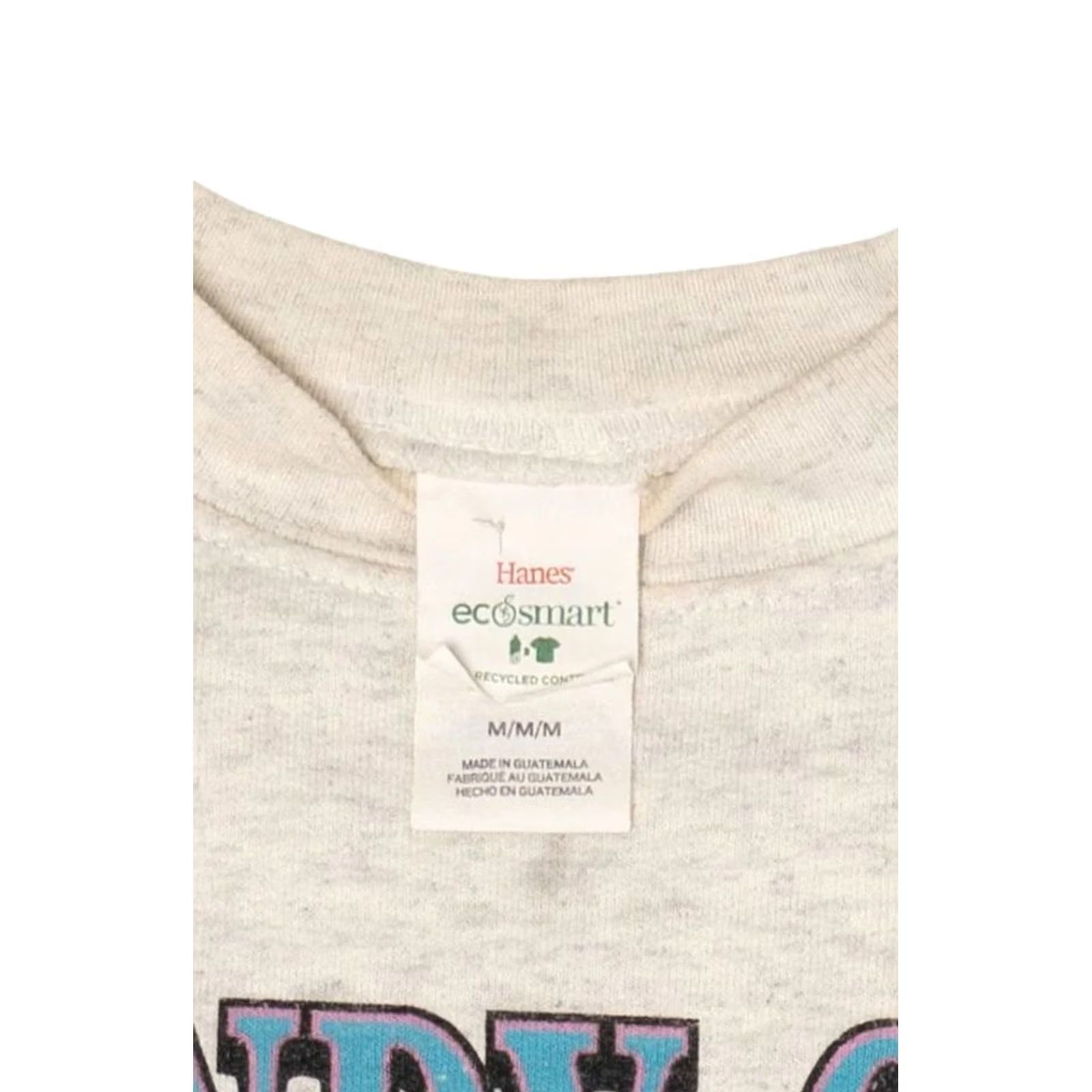 Hanes VINTAGE Windy Gap Young Life Sweatshirt Hanes Grey Sweatshirt Adult Medium Original Size US M / EU 48-50 / 2 - 3 Thumbnail