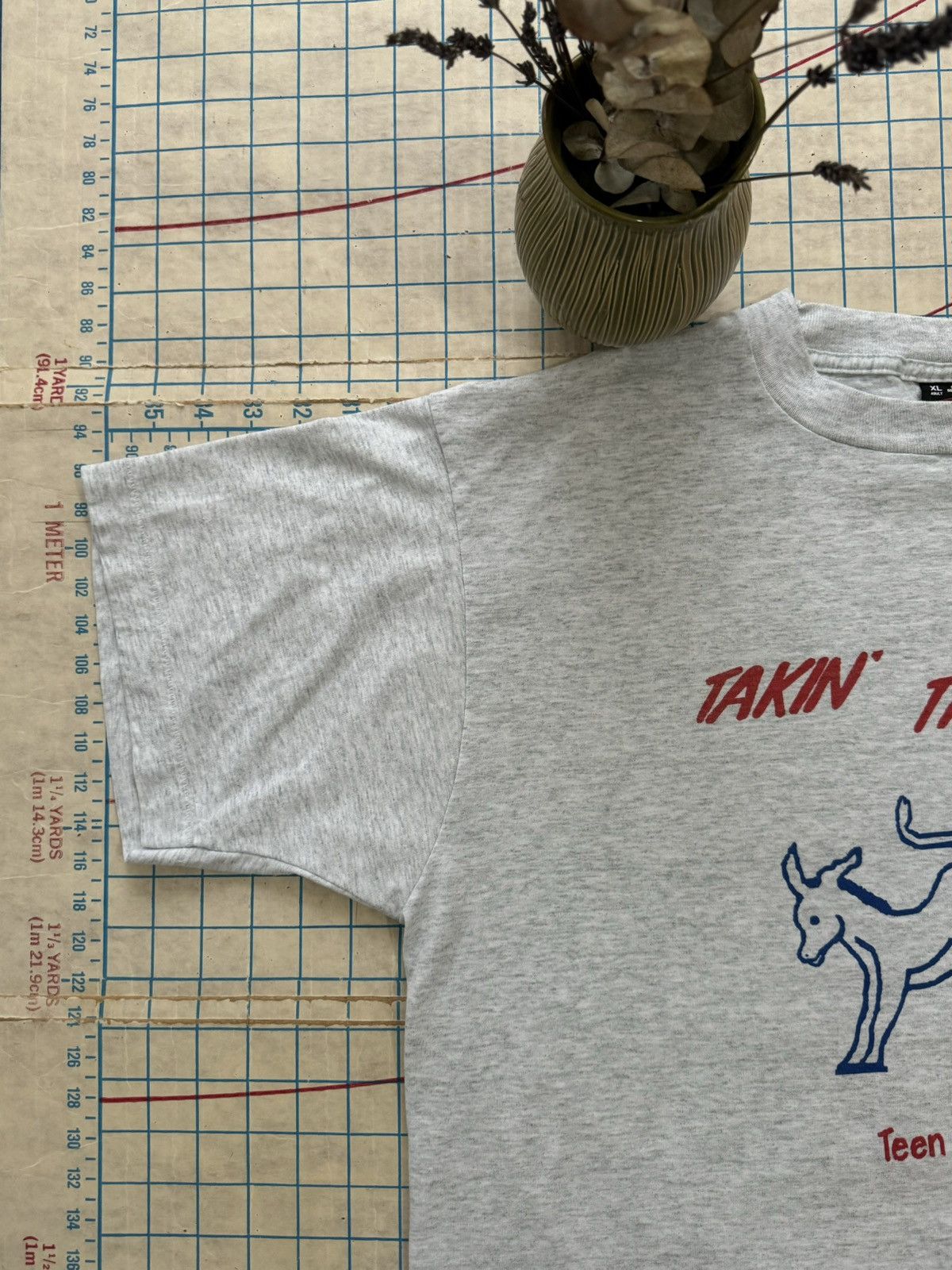 Other × Vintage Vintage Takin’ The Capitol Democratic Camp 93’ Size XL Gray Size US XL / EU 56 / 4 - 6 Thumbnail