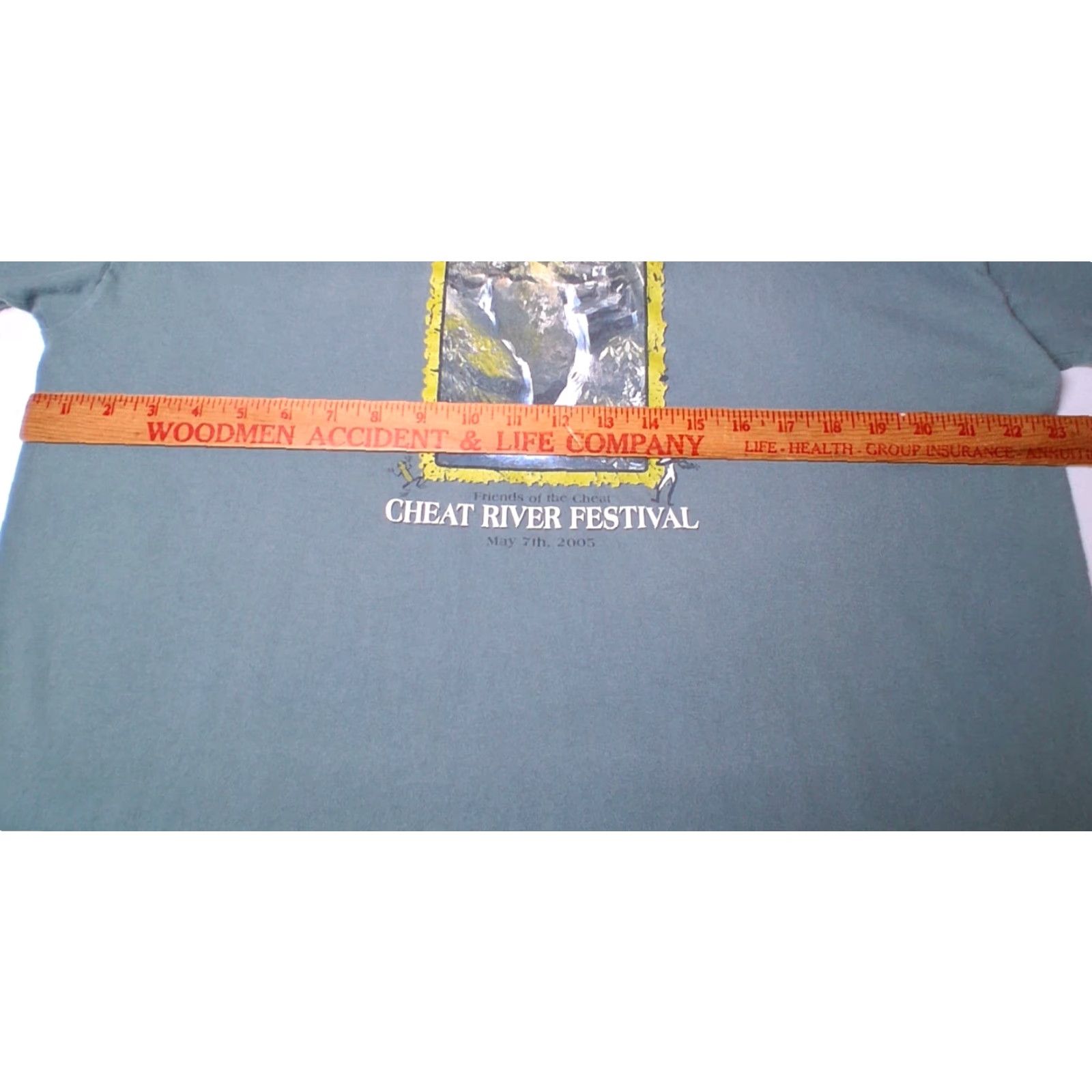 Vintage VINTAGE Cheat River Festival Shirt West Virginia 2005 Organic Conservation Green L Men T-Shirt Georgia? Wait No. Size US L / EU 52-54 / 3 - 3 Thumbnail