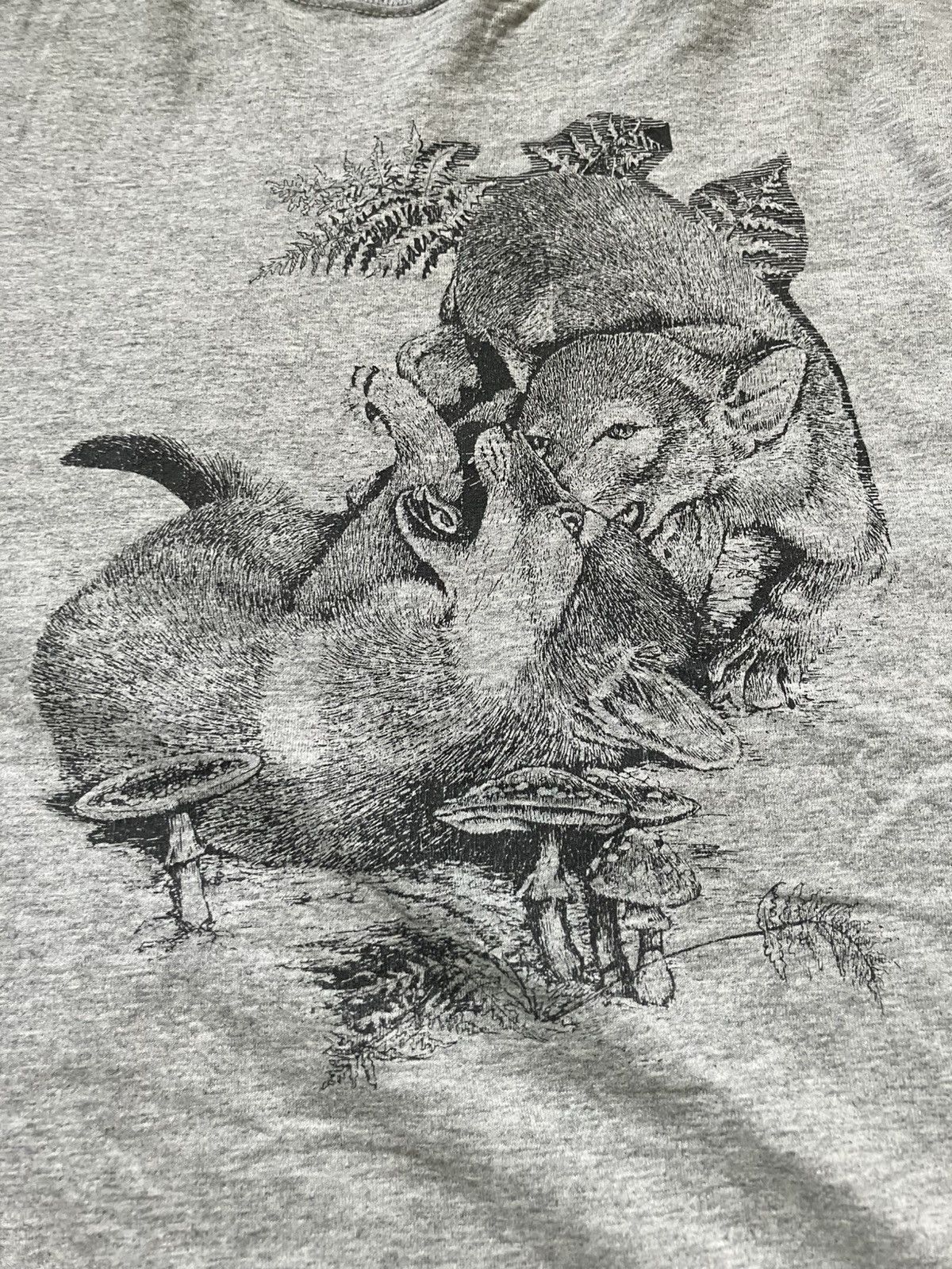 Fruit Of The Loom Moutain Lion Graphic T Size US XL / EU 56 / 4 - 2 Thumbnail
