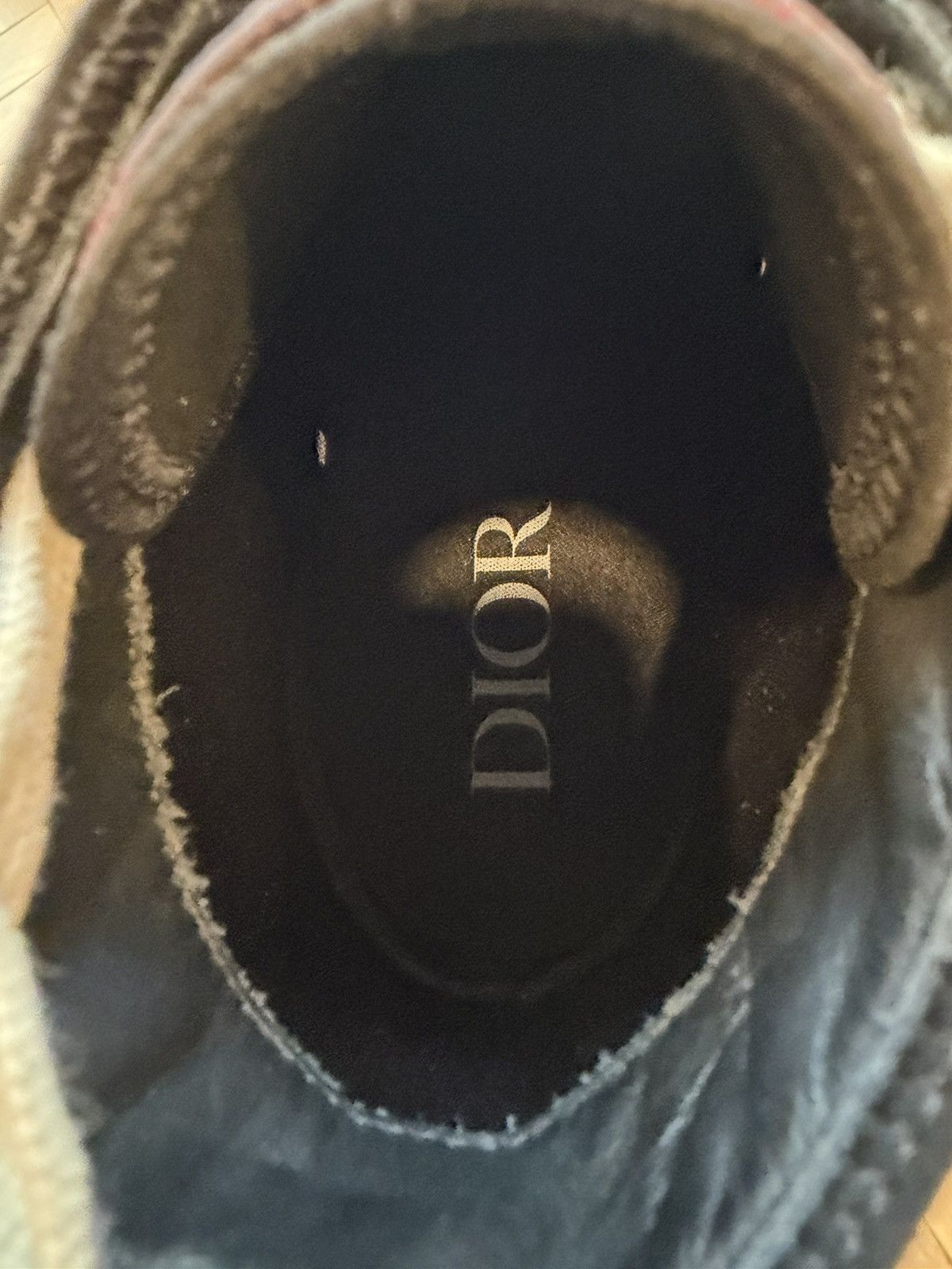 Dior NWT DIOR x PETER DOIG B23 HIGH TOP SNEAKERS Size US 7 / EU 40 - 16 Thumbnail