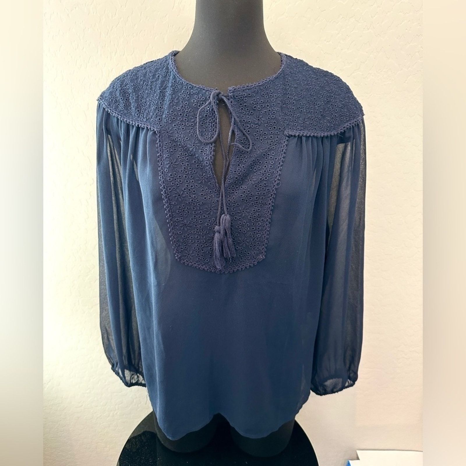 Zara ZARA | Basic Navy Blue Sheer Eyelet Lace Long Sleeve Blouse Size S / US 4 / IT 40 - 2 Thumbnail