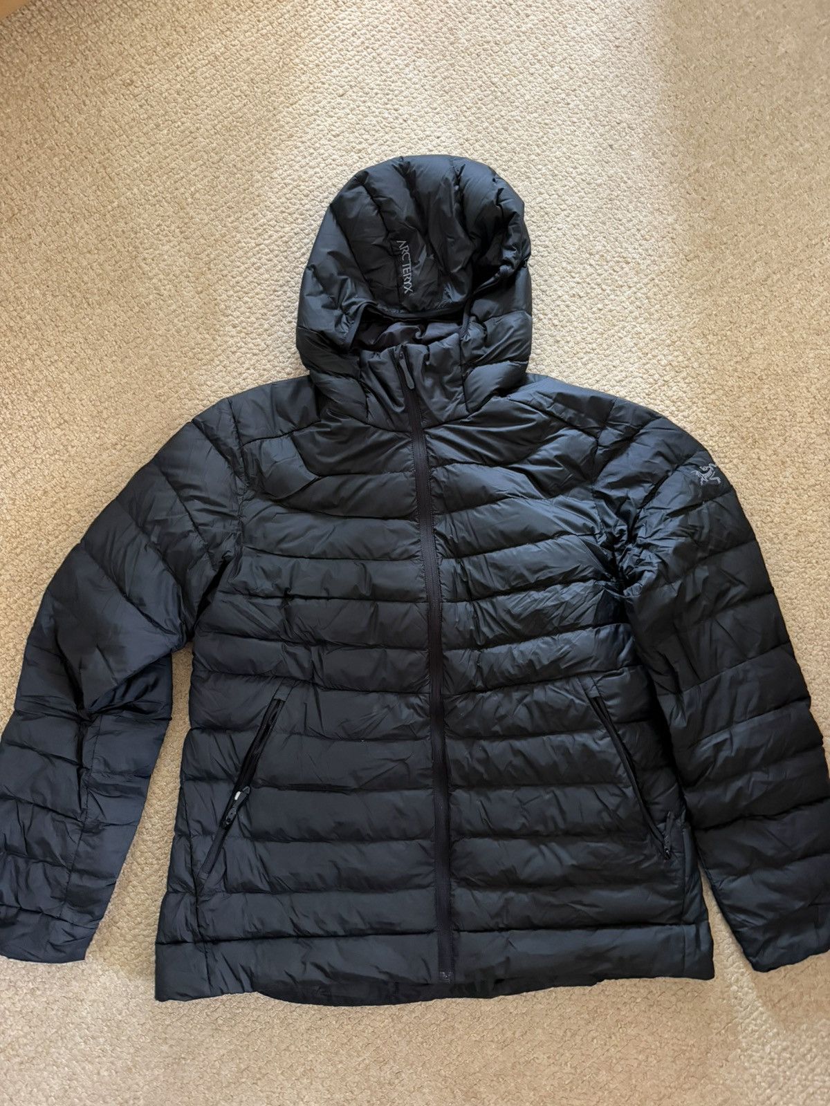 Arc'teryx Women's Arc'teryx Cerium Hoody Size L / US 10 / IT 46 - 1 Thumbnail