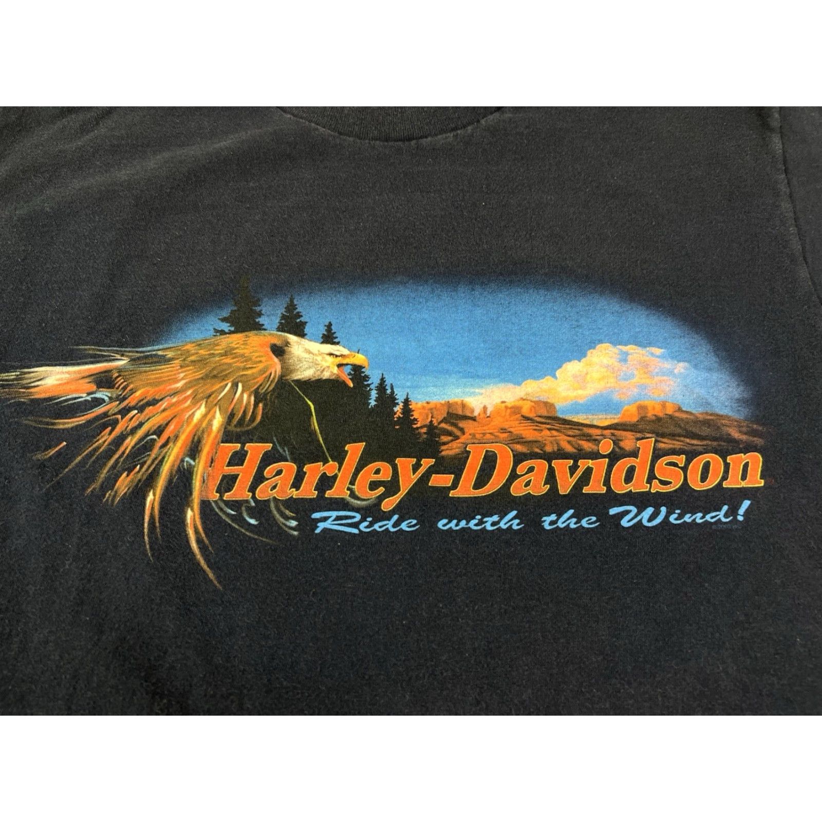Harley Davidson Harley-Davidson T-Shirt Medium M Blue Tucson Arizona Bucking Horse Cowboy Motorcycles Horse Shirt Mens Blue 2000s Size US M / EU 48-50 / 2 - 5 Thumbnail