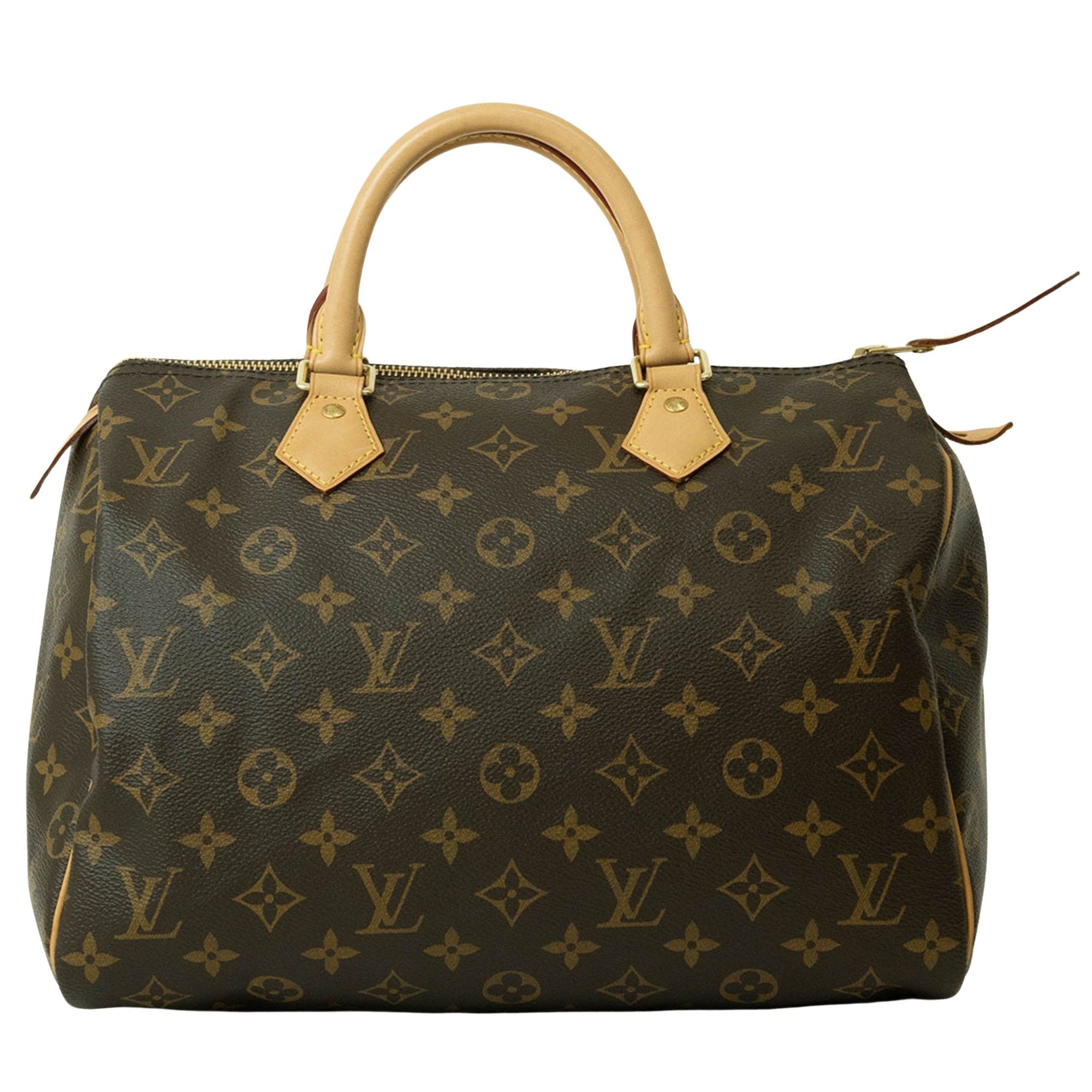Louis Vuitton Louis Vuitton Speedy 30 handbag Size ONE SIZE - 1 Thumbnail