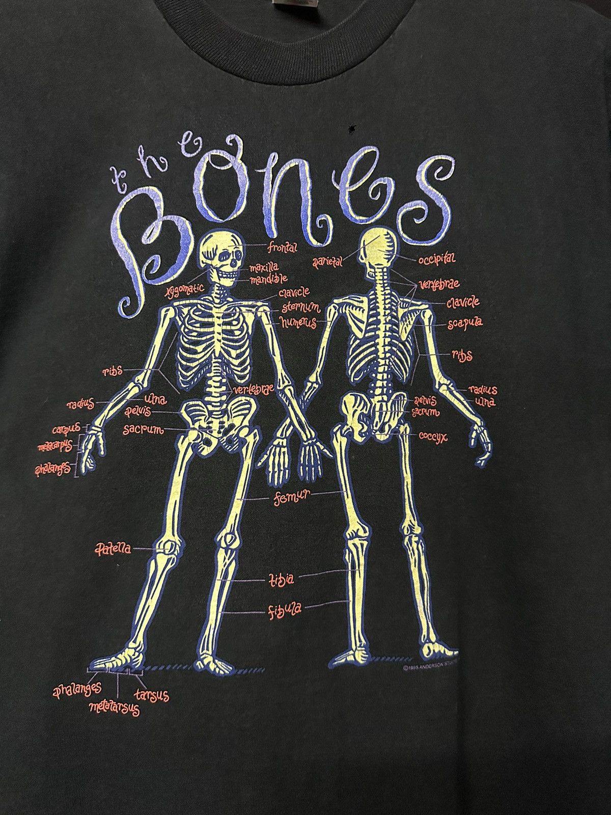 Vintage Vintage 90s The Bones Anatomy Anderson Studio Museum Faded T Size US L / EU 52-54 / 3 - 2 Thumbnail