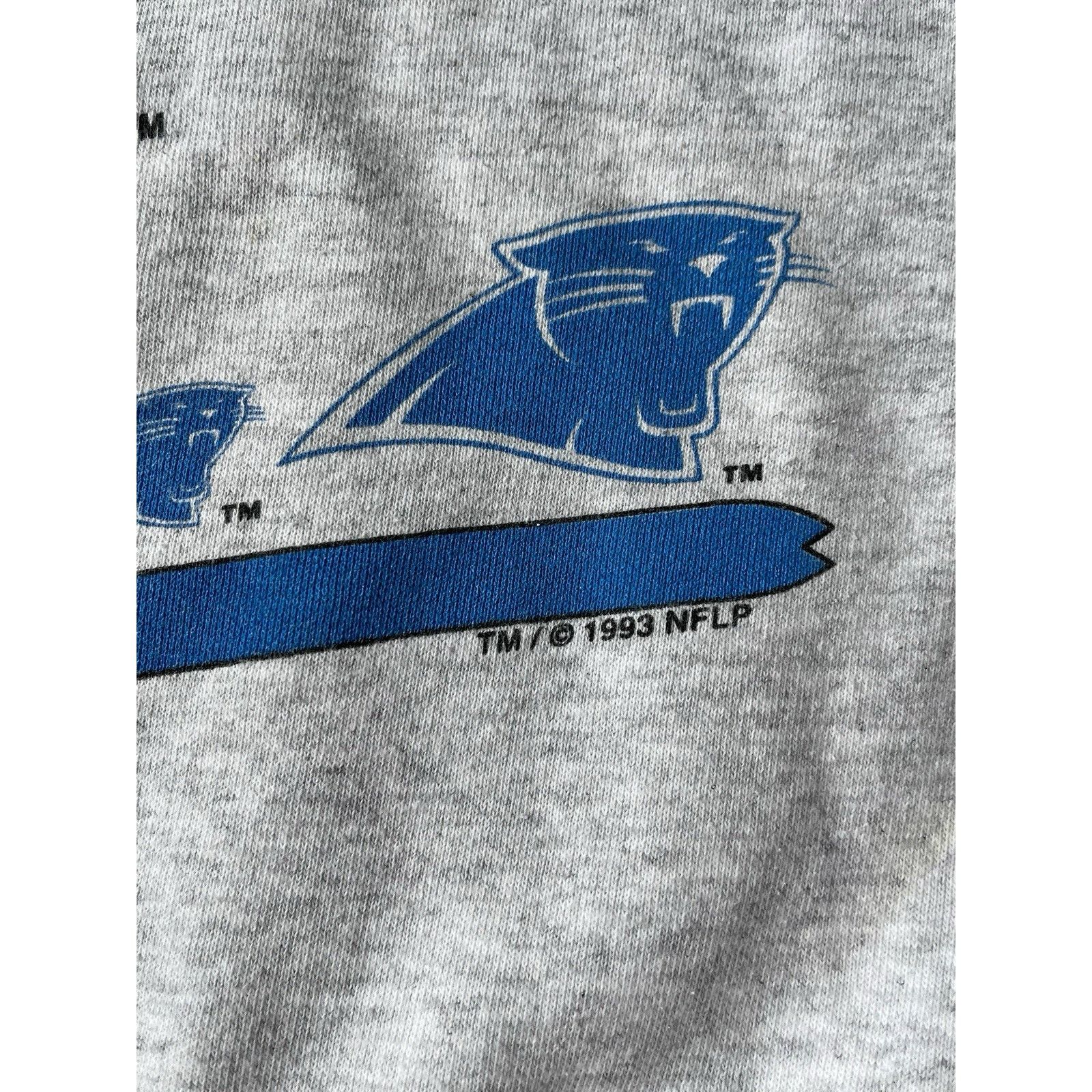 Salem Sportswear VTG 1993 NFL Carolina Panthers Salem Sportswear Crewneck XL Size US XL / EU 56 / 4 - 3 Thumbnail