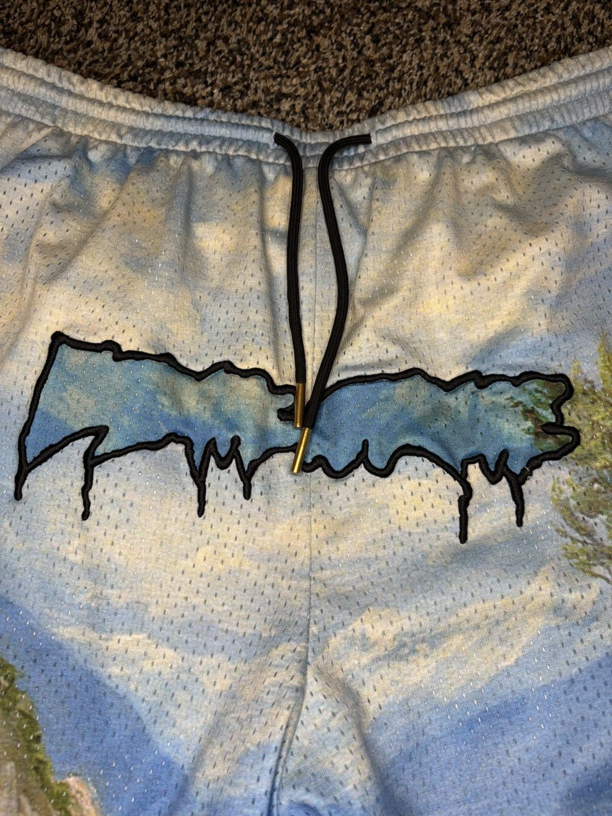 Fucking Awesome Fucking Awesome Landscape Mesh short Size US 38 / EU 54 - 2 Thumbnail