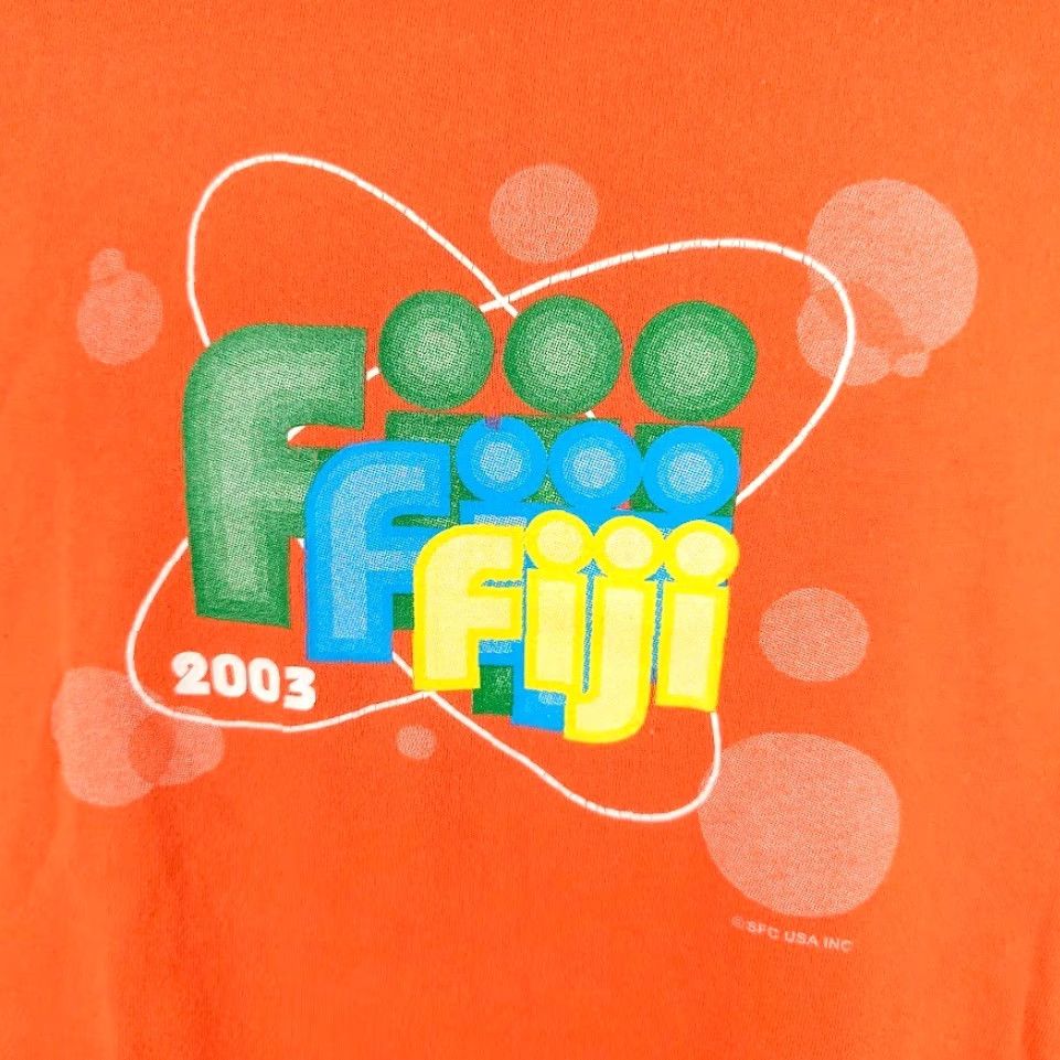 Hanes VINTAGE Hanes Fiji T Shirt Mens Large Orange 90s Travel Destination Tee Size US L / EU 52-54 / 3 - 3 Thumbnail