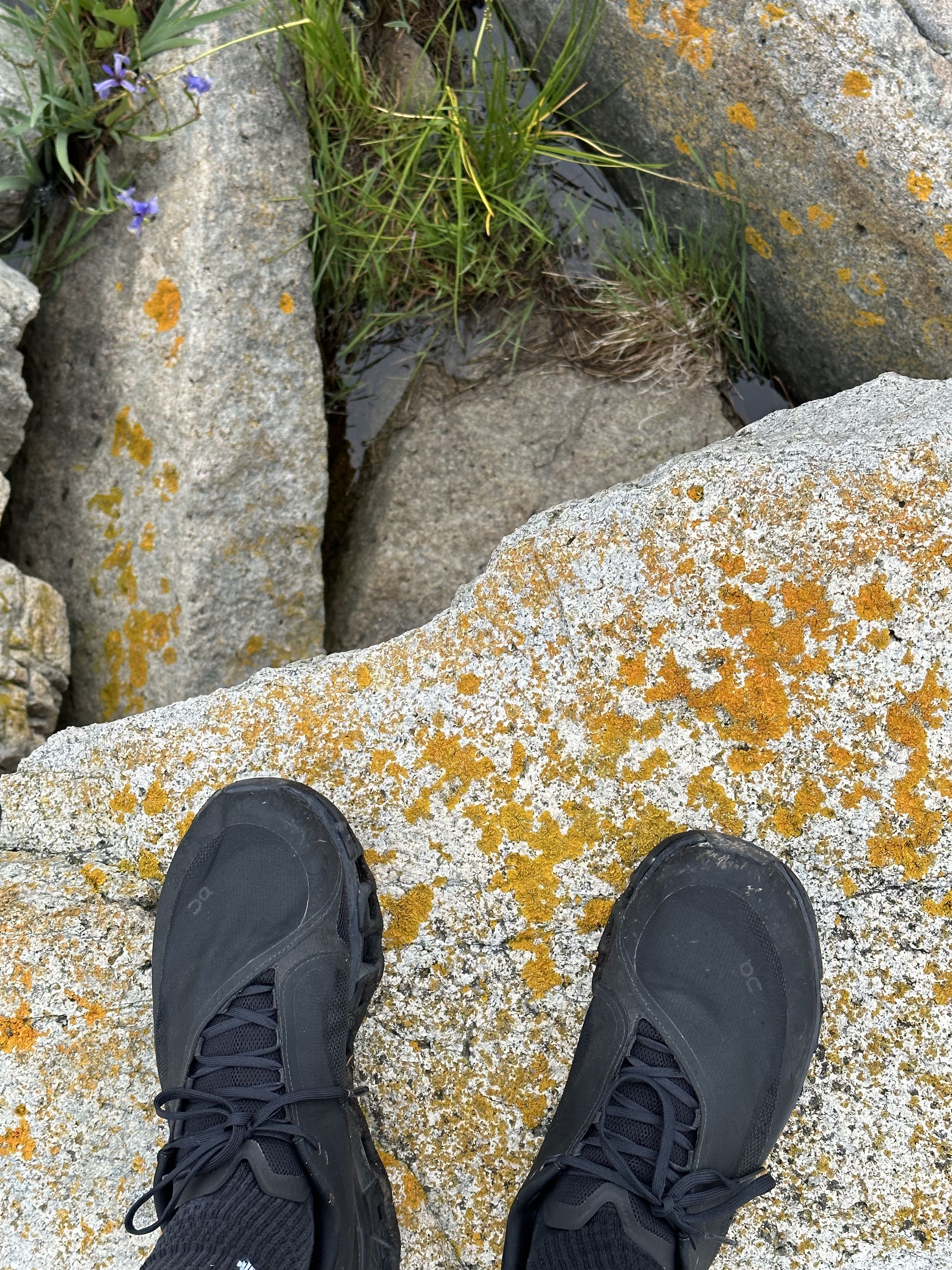 On × POST ARCHIVE FACTION (PAF) PAF x ON Cloudmonster 2 (Original/First Release) Black Size US 10.5 / EU 43-44 - 9 Thumbnail