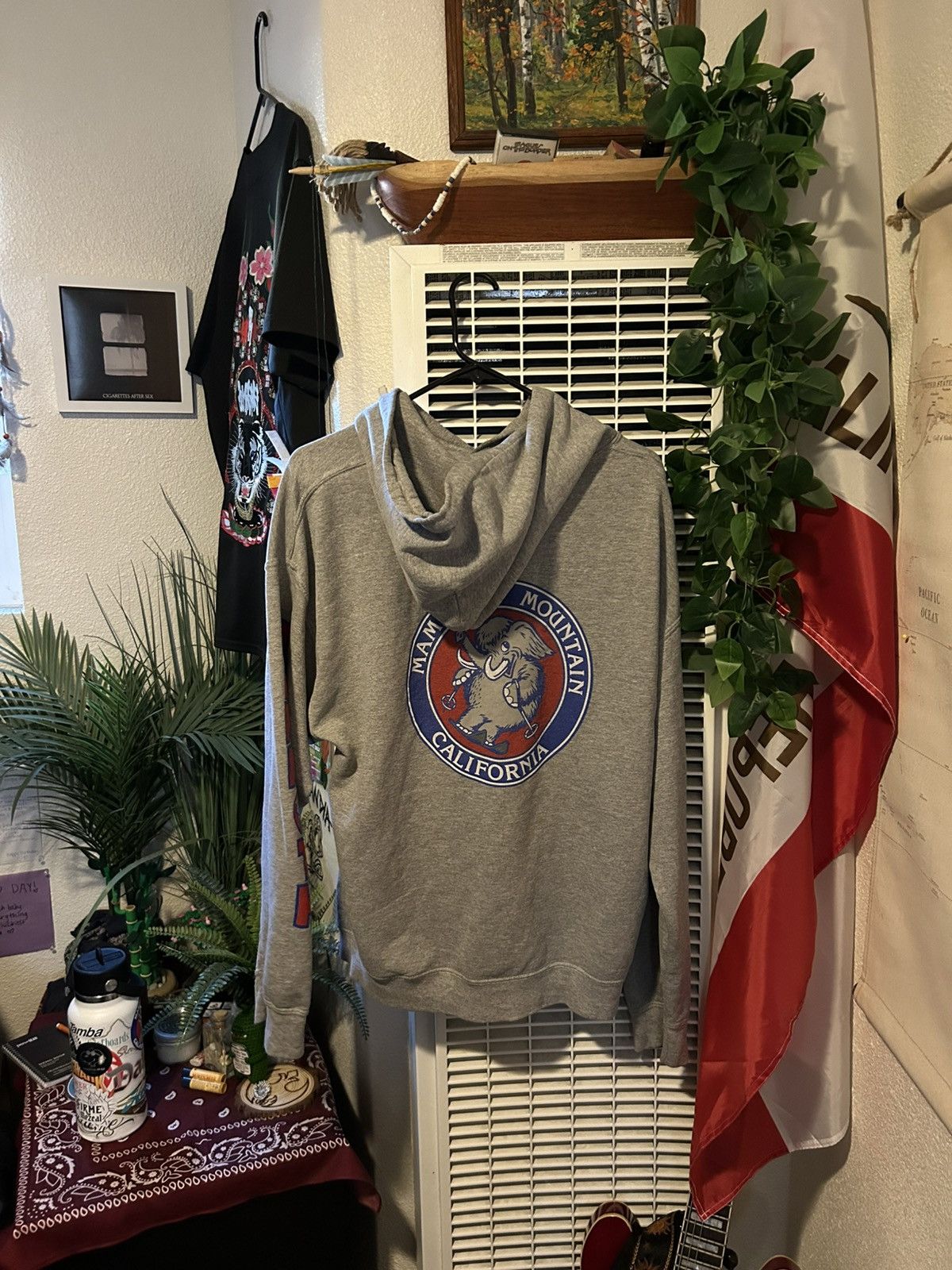 Other Mammoth Mountain Hoodie - L Size US L / EU 52-54 / 3 - 4 Thumbnail