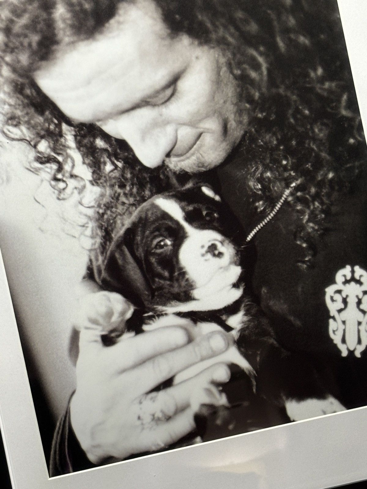 Chrome Hearts * chrome hearts * 1997 Richard Stark & Pup Framed Poster Size ONE SIZE - 4 Thumbnail