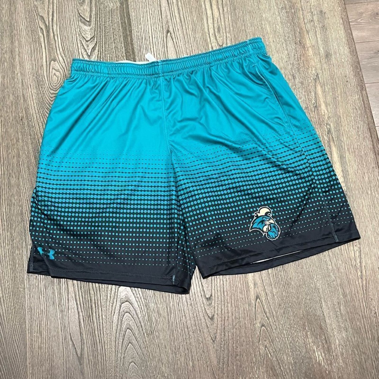Under Armour Under Armor Elastic Waist Athletic Basetball Shorts Size XS Size US 28 / EU 44 - 1 Thumbnail
