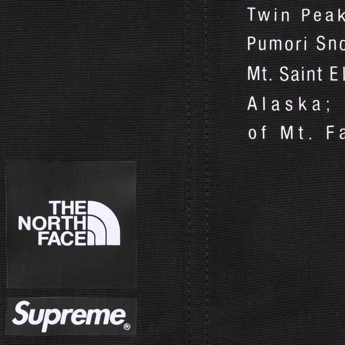 Supreme × The North Face Supreme The North Face Nylon Short Size US 36 / EU 52 - 4 Thumbnail