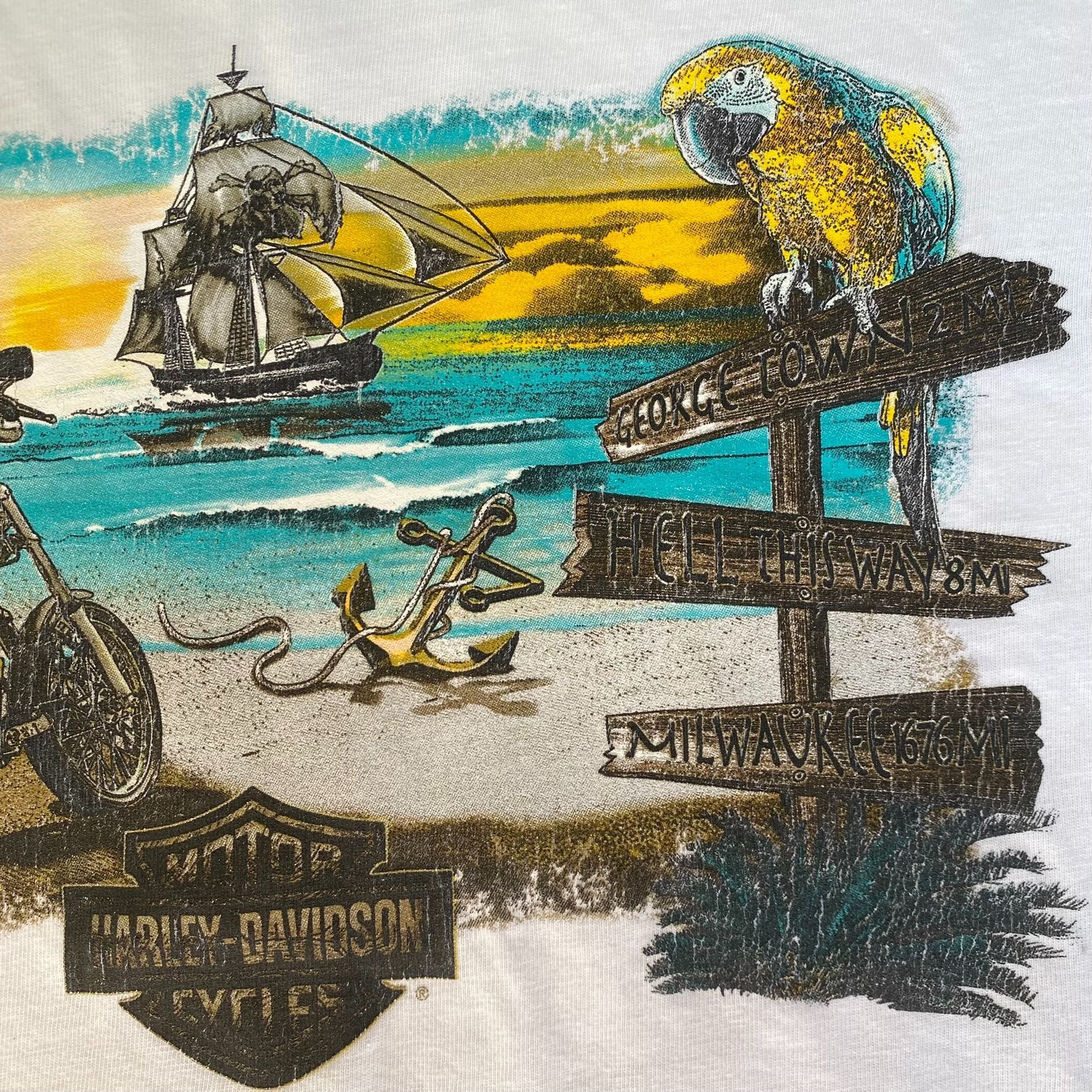 Harley Davidson Vintage Y2K Harley Davidson Shirt Pirate Punk Biker Tee Size US L / EU 52-54 / 3 - 4 Thumbnail