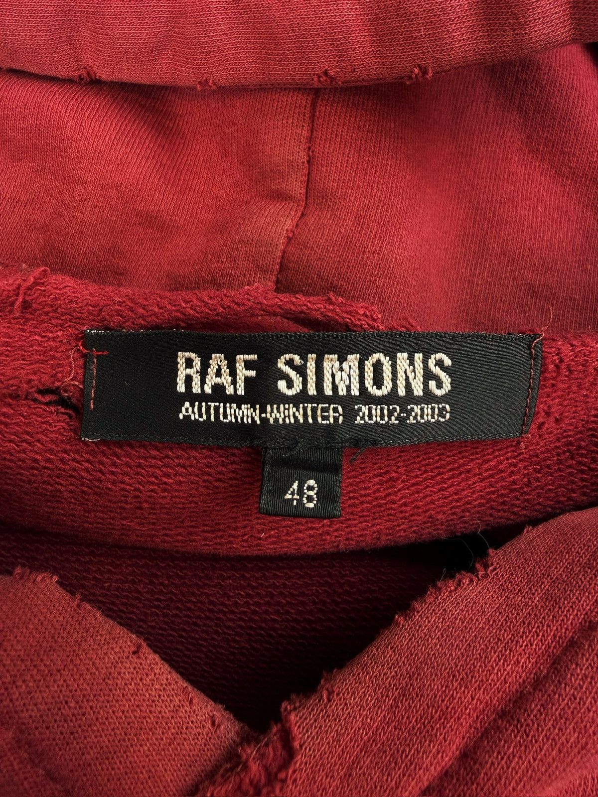 Raf Simons AW02 Raf Simons ‘Virginia Creeper’ Red Faded Roots Hoodie Size US M / EU 48-50 / 2 - 3 Thumbnail