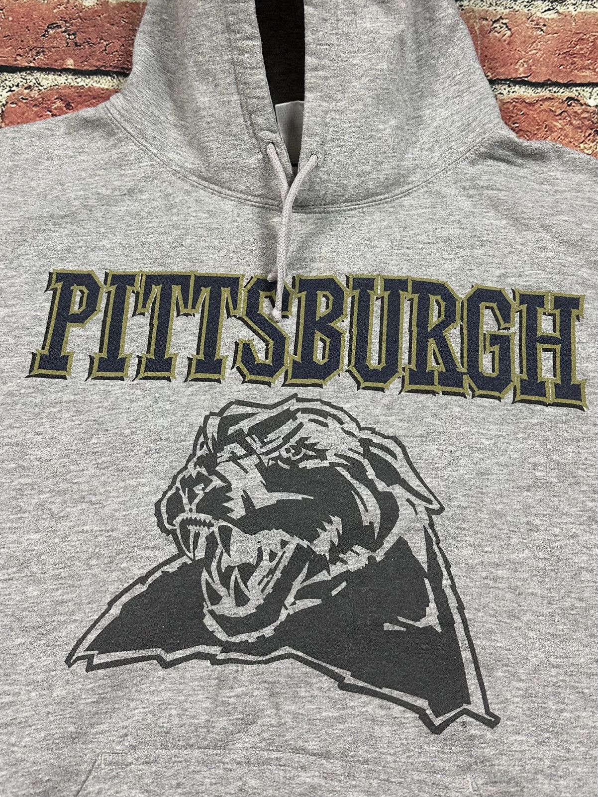 NCAA Vintage Pitt Panthers Y2K Hoodie Sweatshirt Pittsburgh Size US M / EU 48-50 / 2 - 3 Thumbnail