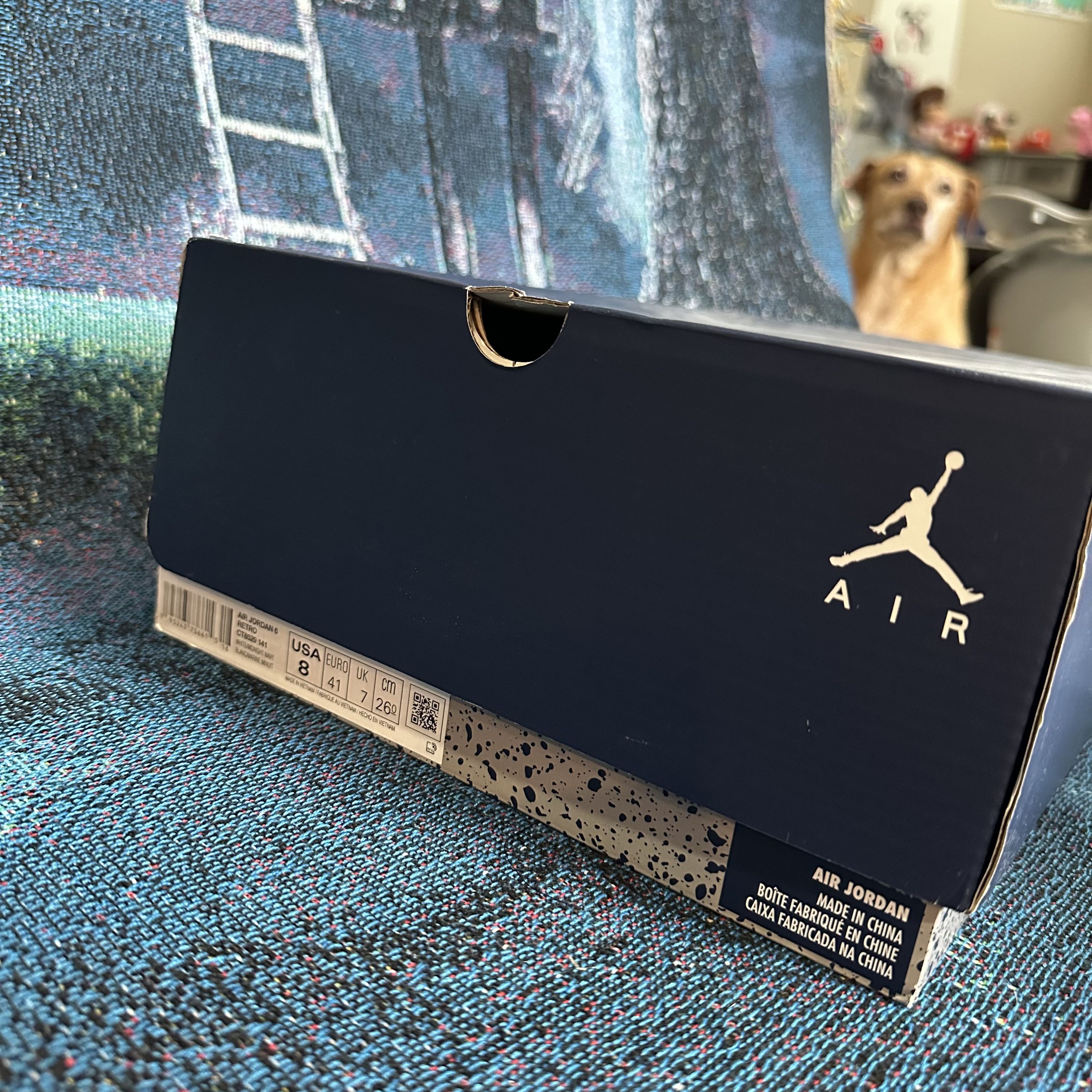 Jordan Brand Air Jordan Retro 6 VI Midnight Size US 8 / EU 41 - 8 Thumbnail